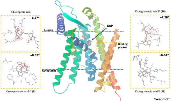 Plants 15 00442 g004