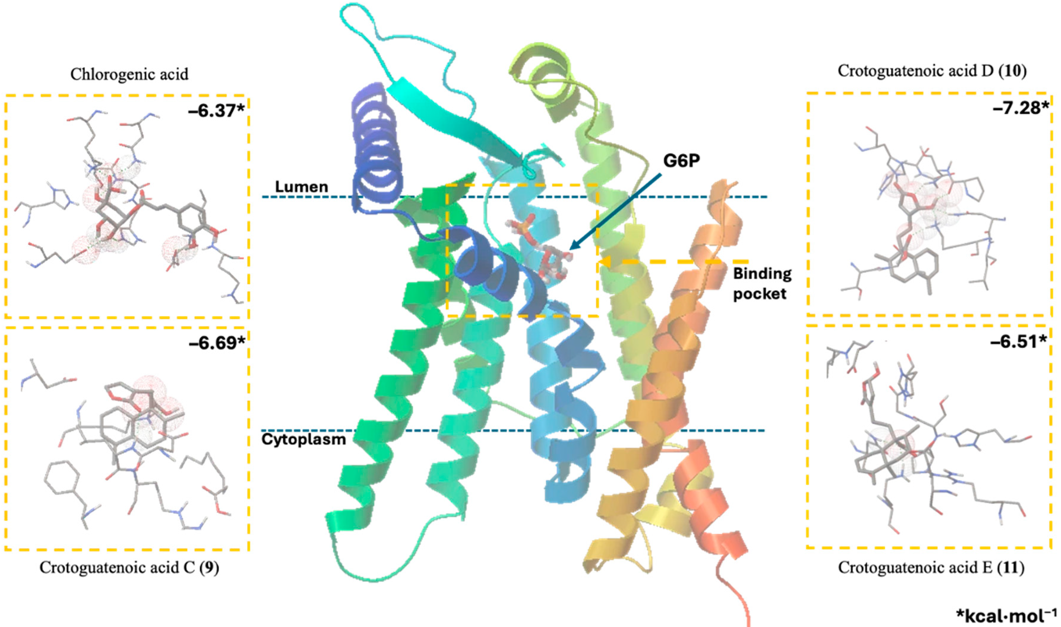 Plants 15 00442 g004 Plants 15 00442 g004