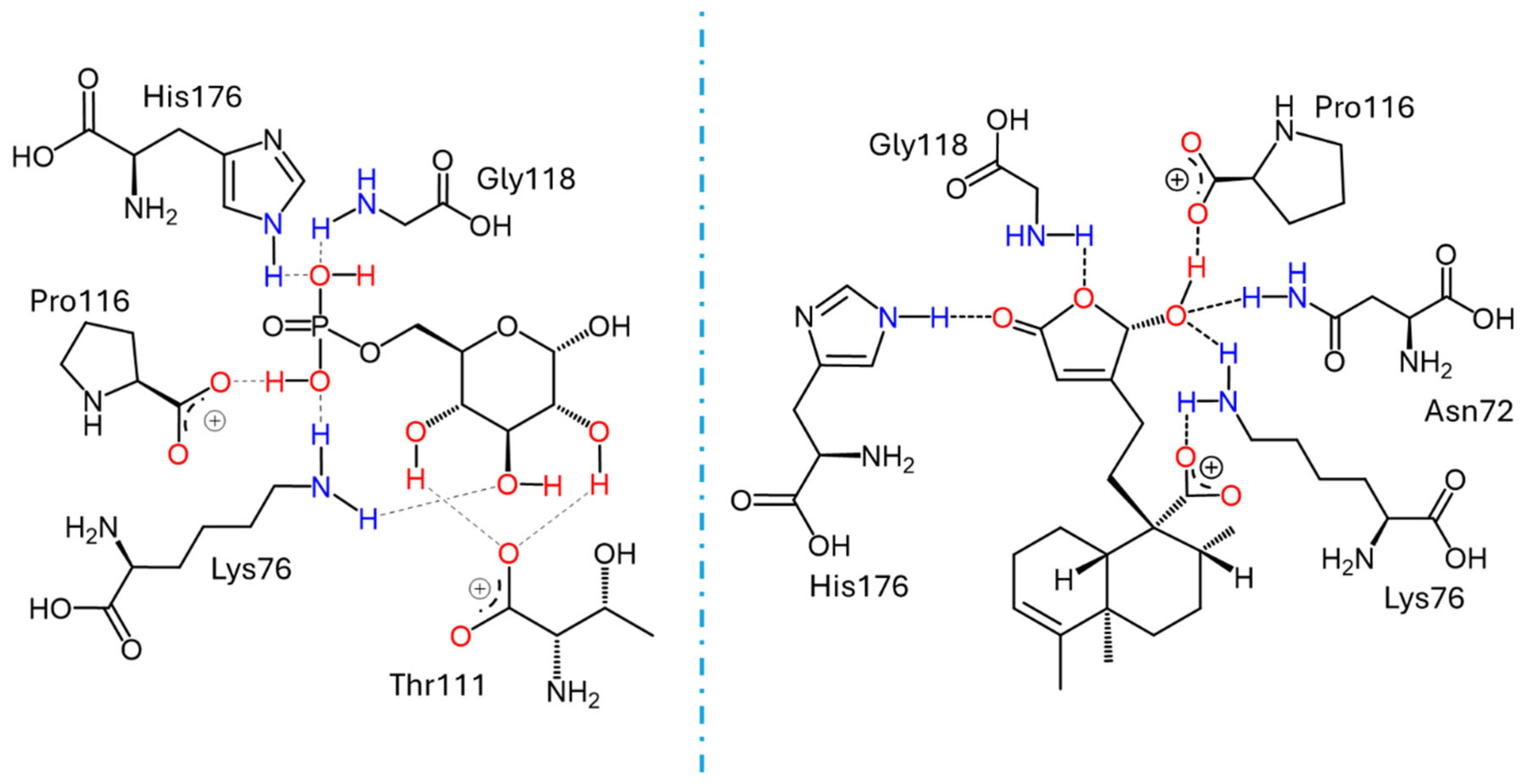 Plants 15 00442 g005 Plants 15 00442 g005