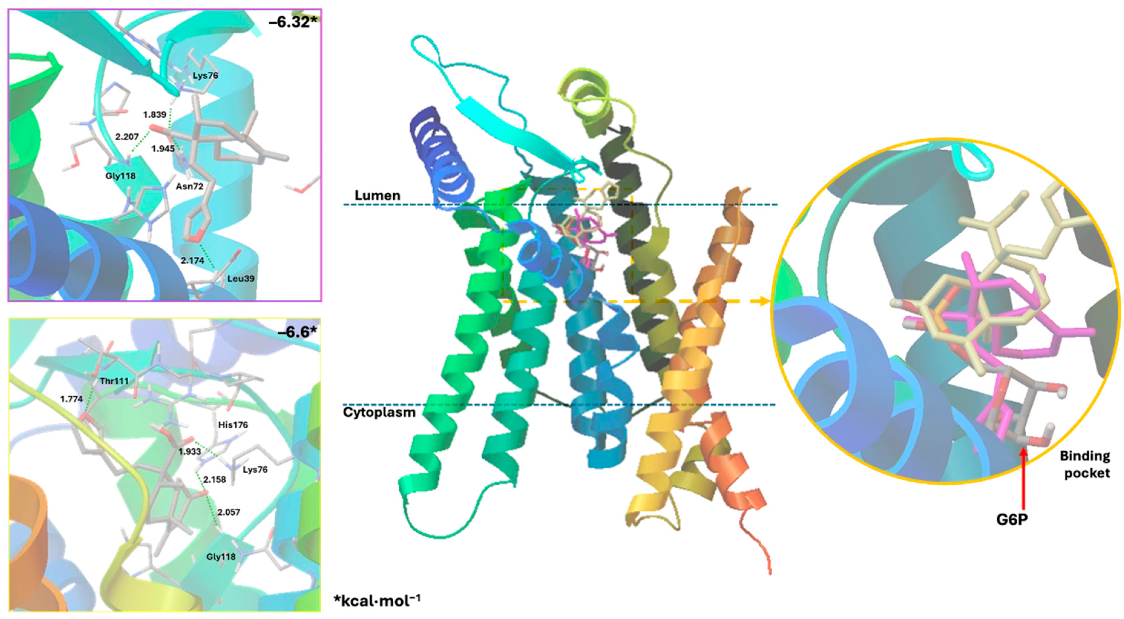 Plants 15 00442 g006 Plants 15 00442 g006