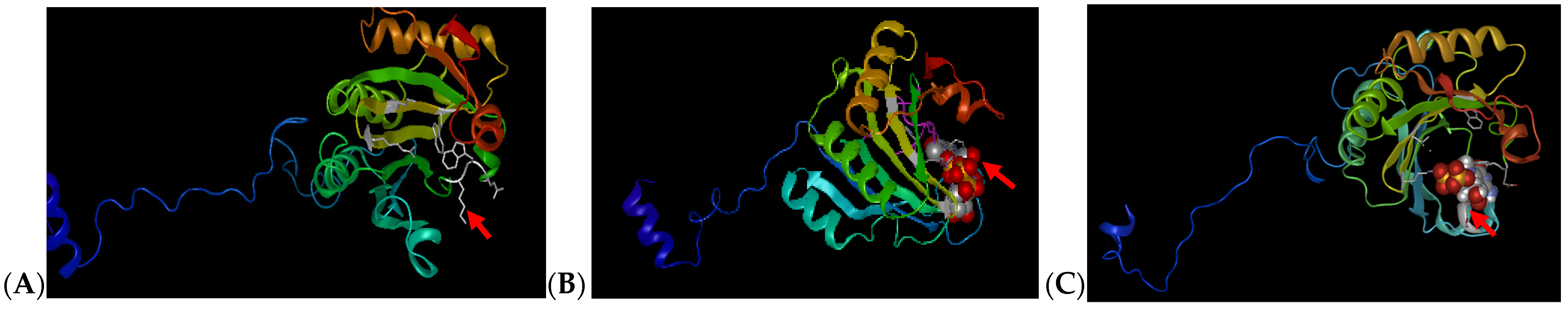 Plants 15 00447 g001