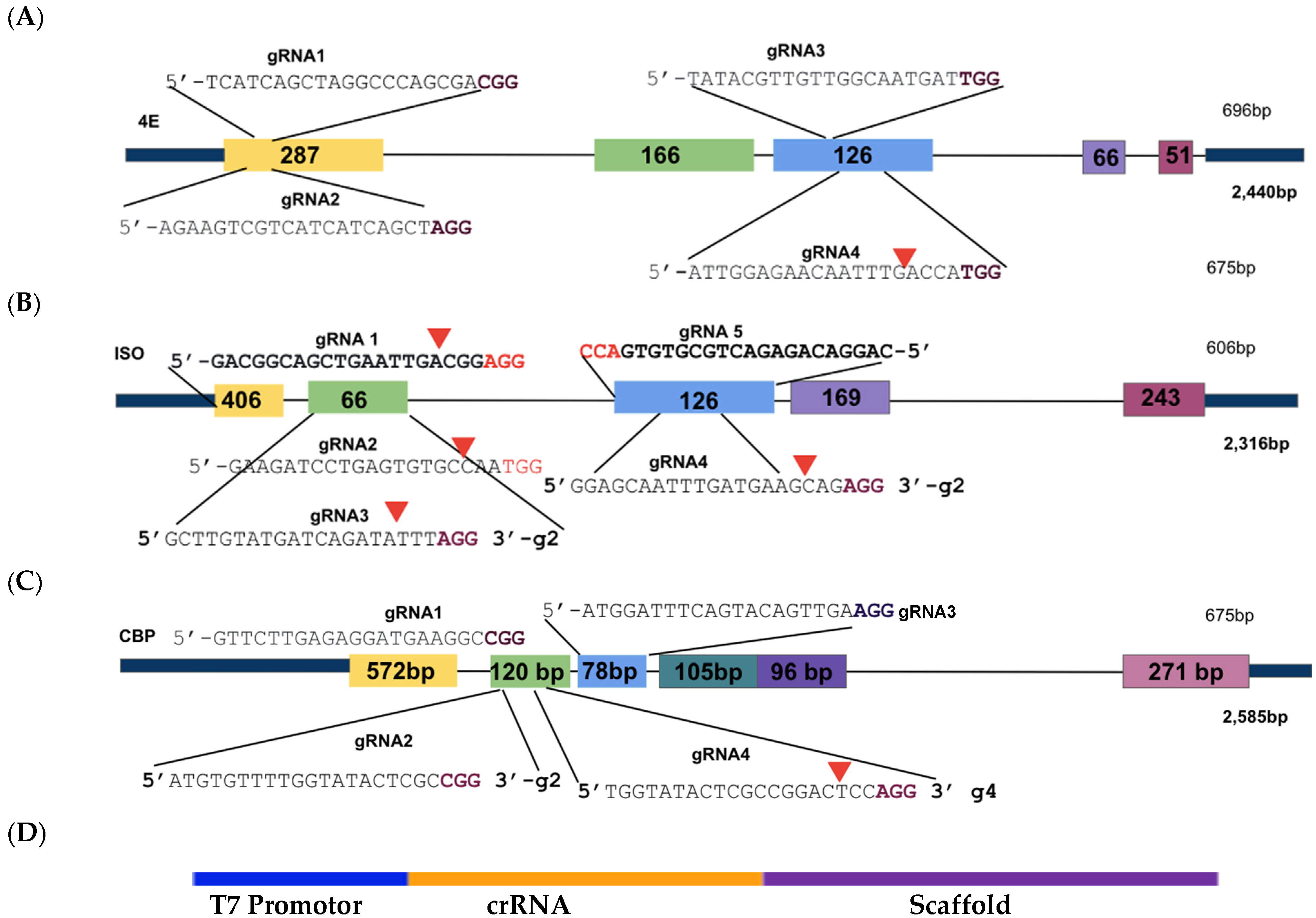 Plants 15 00447 g002
