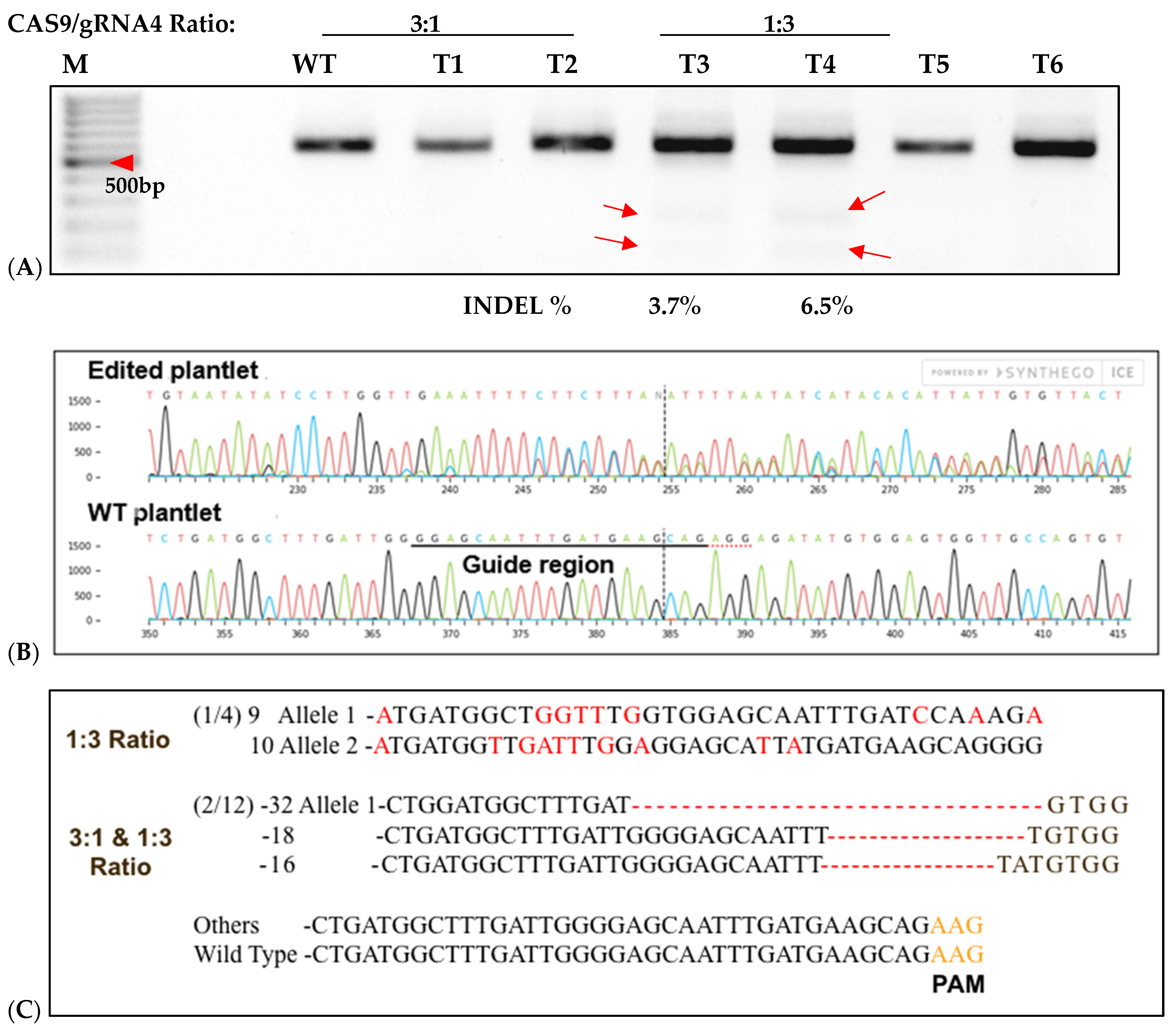 Plants 15 00447 g007