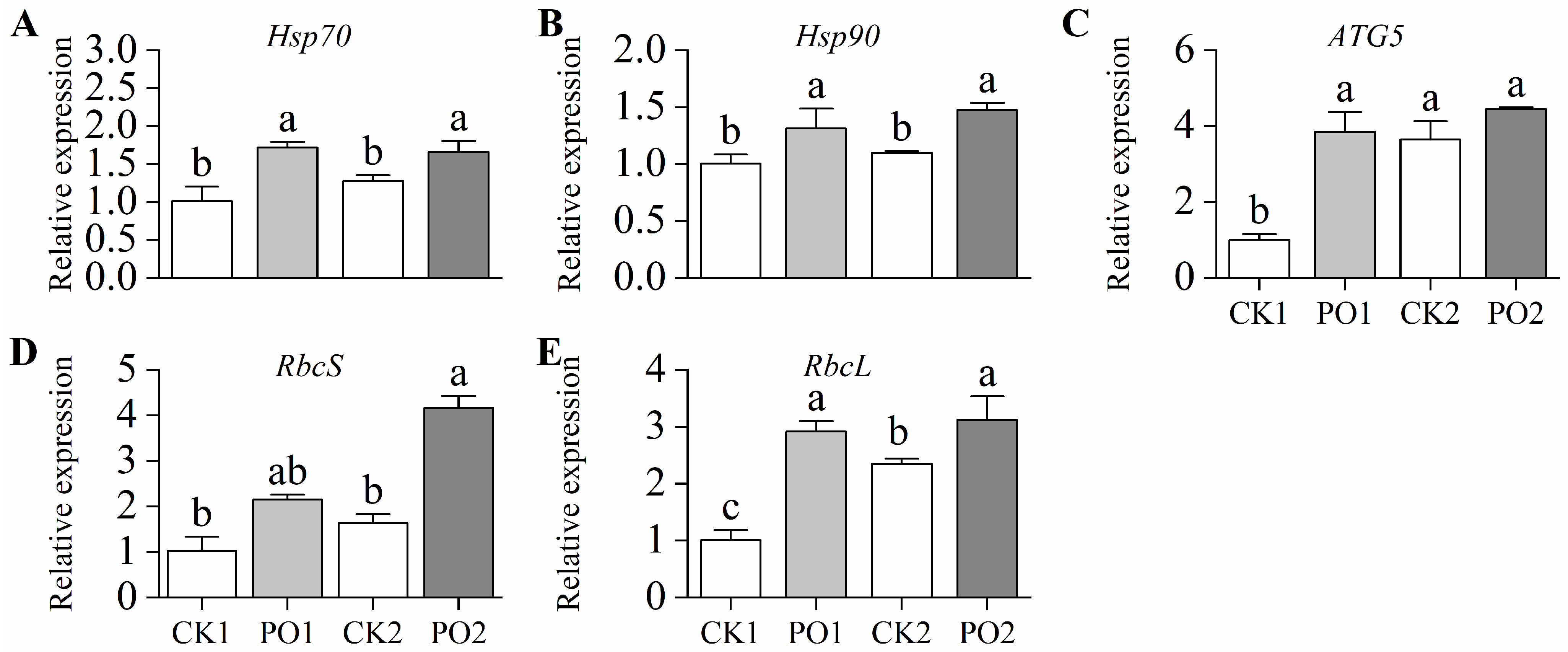 Plants 15 00448 g008