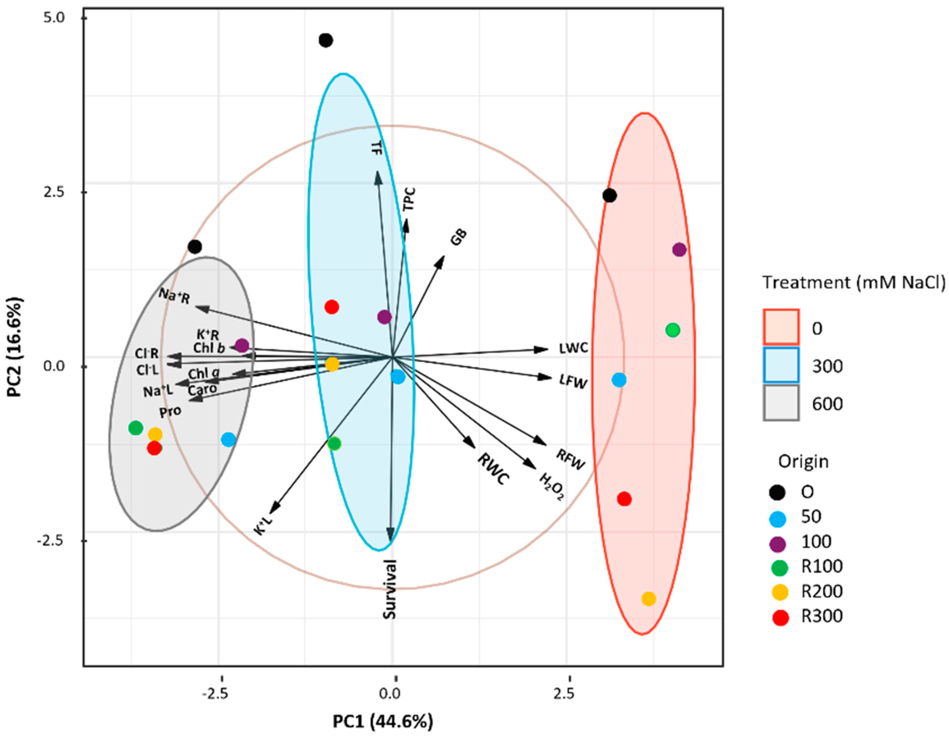 Plants 15 00451 g007 Plants 15 00451 g007