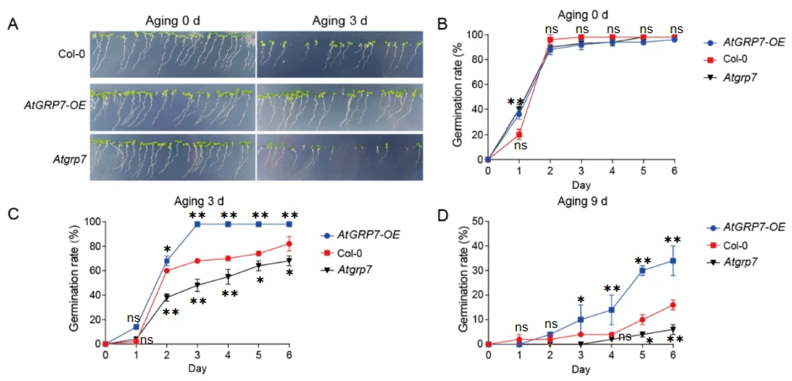 Plants 15 00464 g001 Plants 15 00464 g001