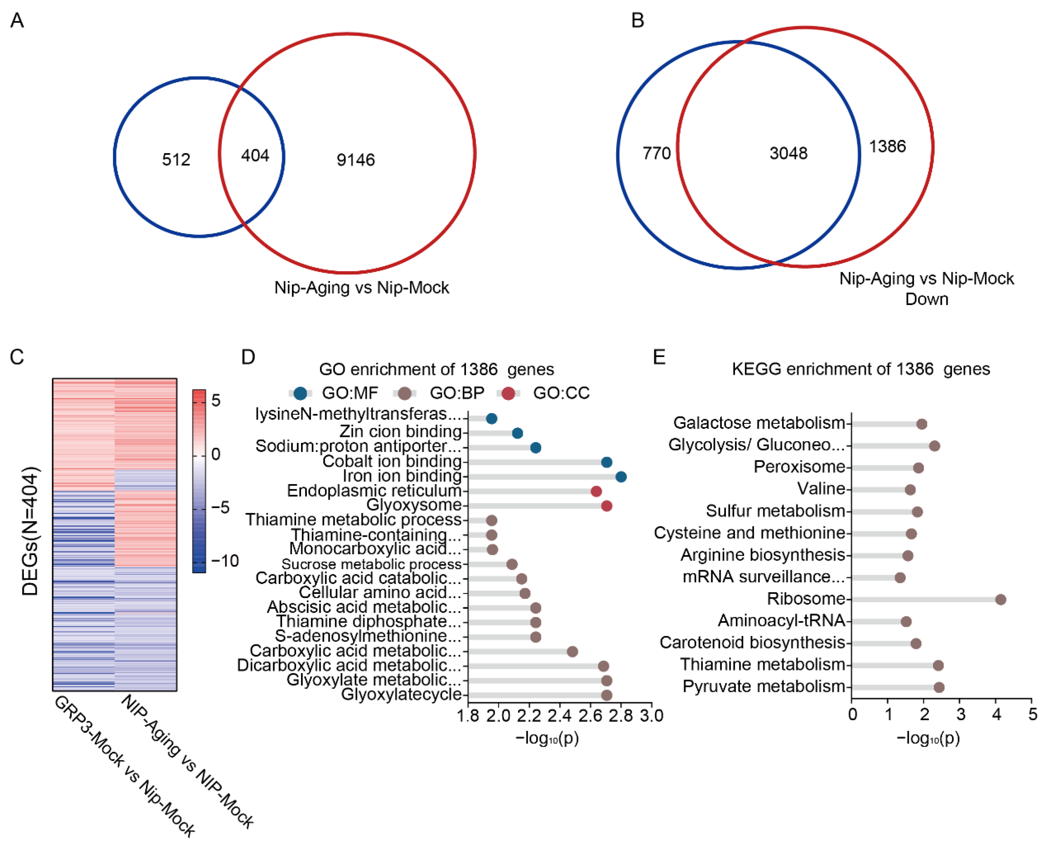 Plants 15 00464 g006 Plants 15 00464 g006