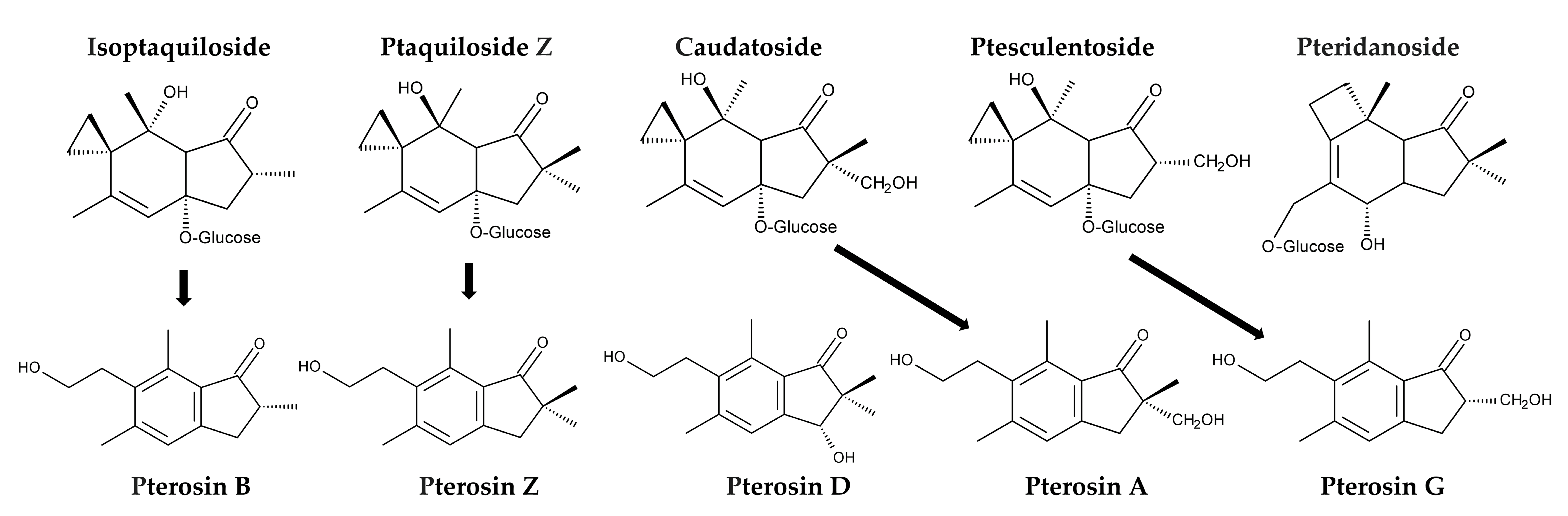 Plants 15 00469 g008