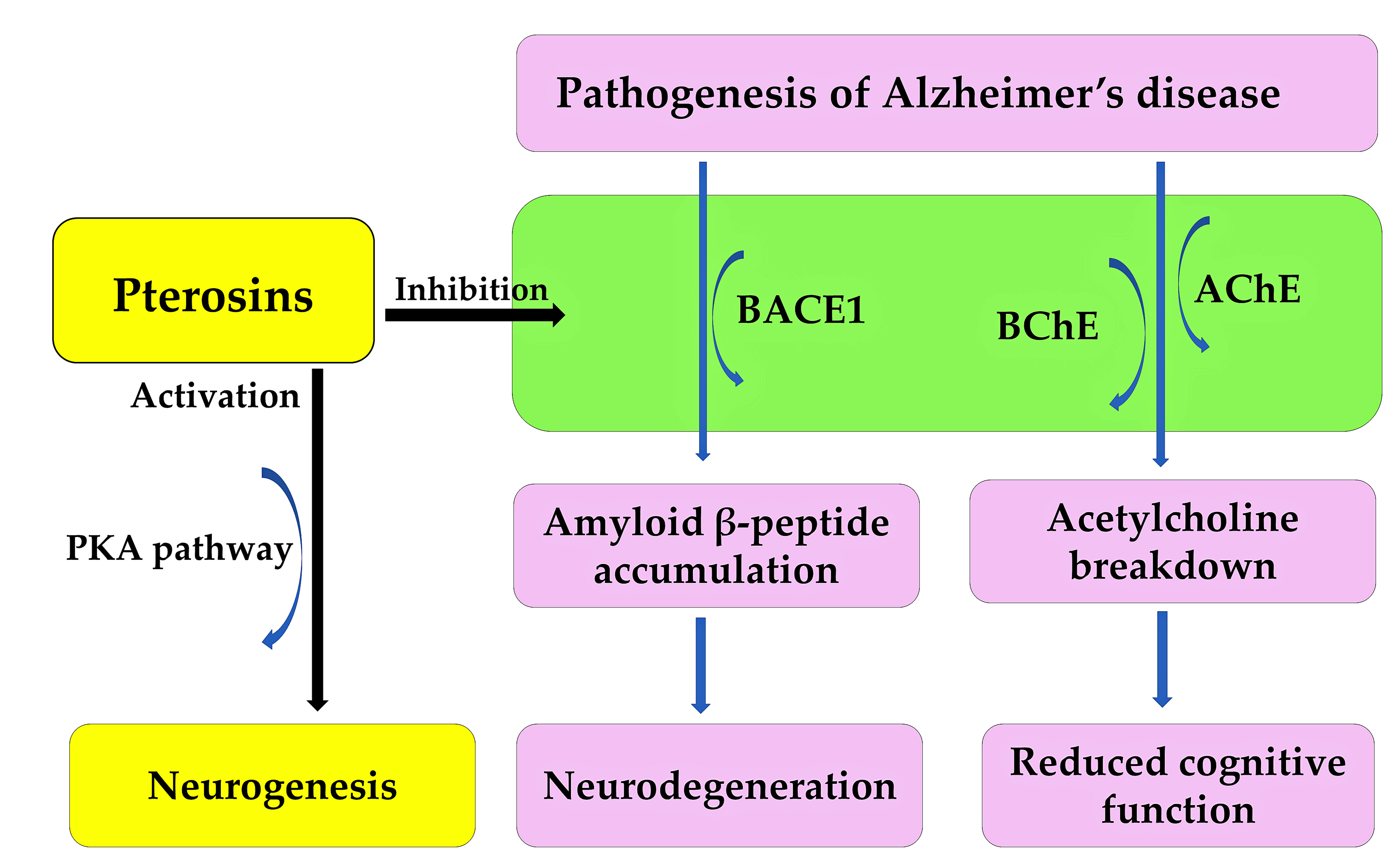 Plants 15 00469 g012