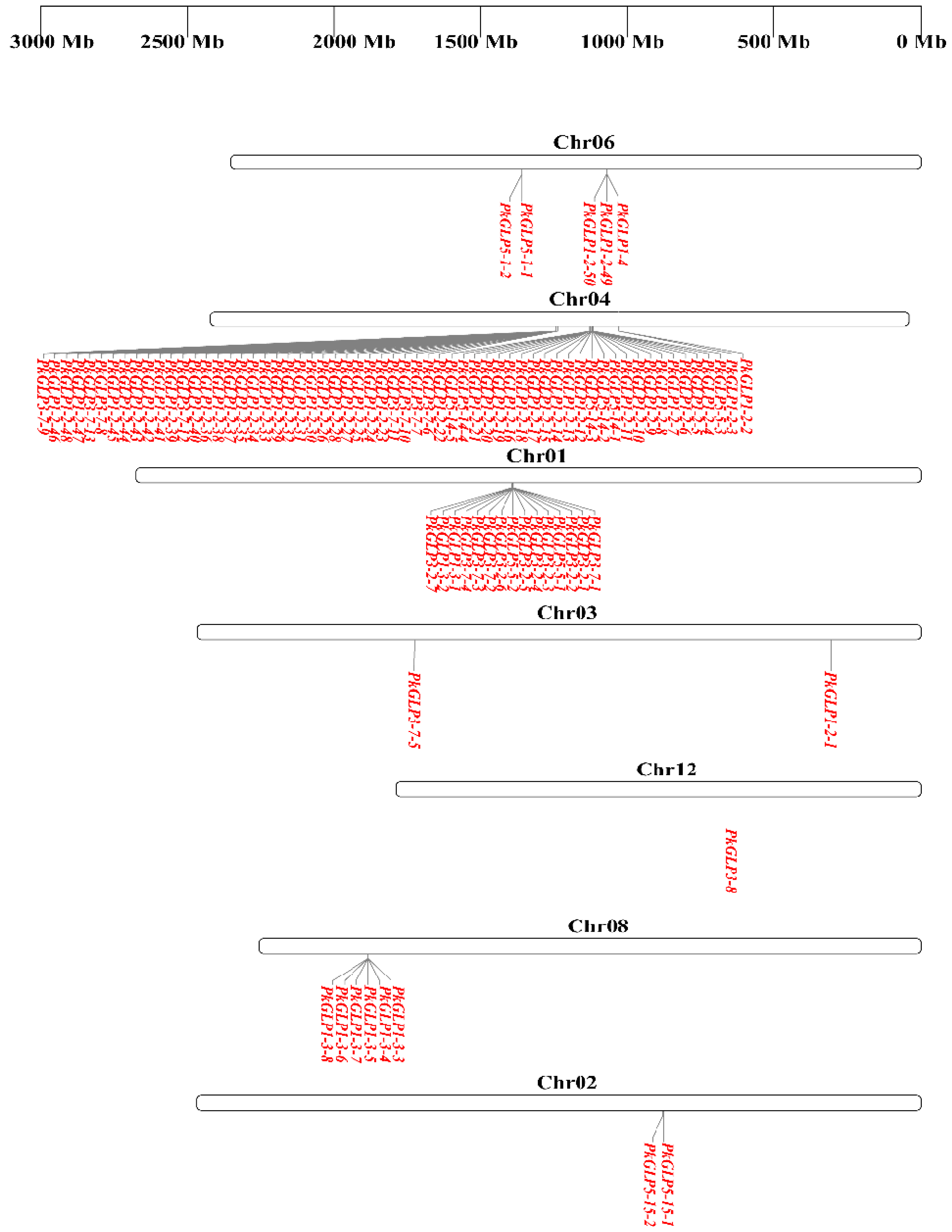 Plants 15 00476 g003