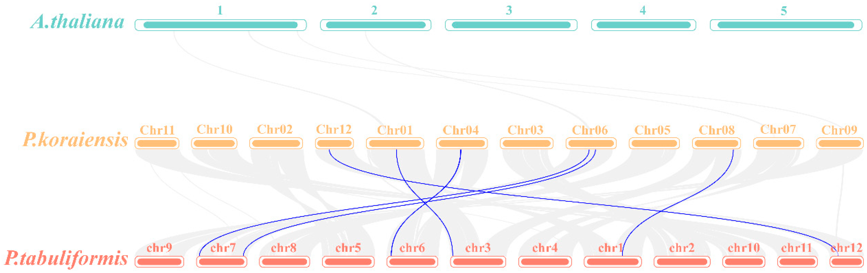 Plants 15 00476 g004