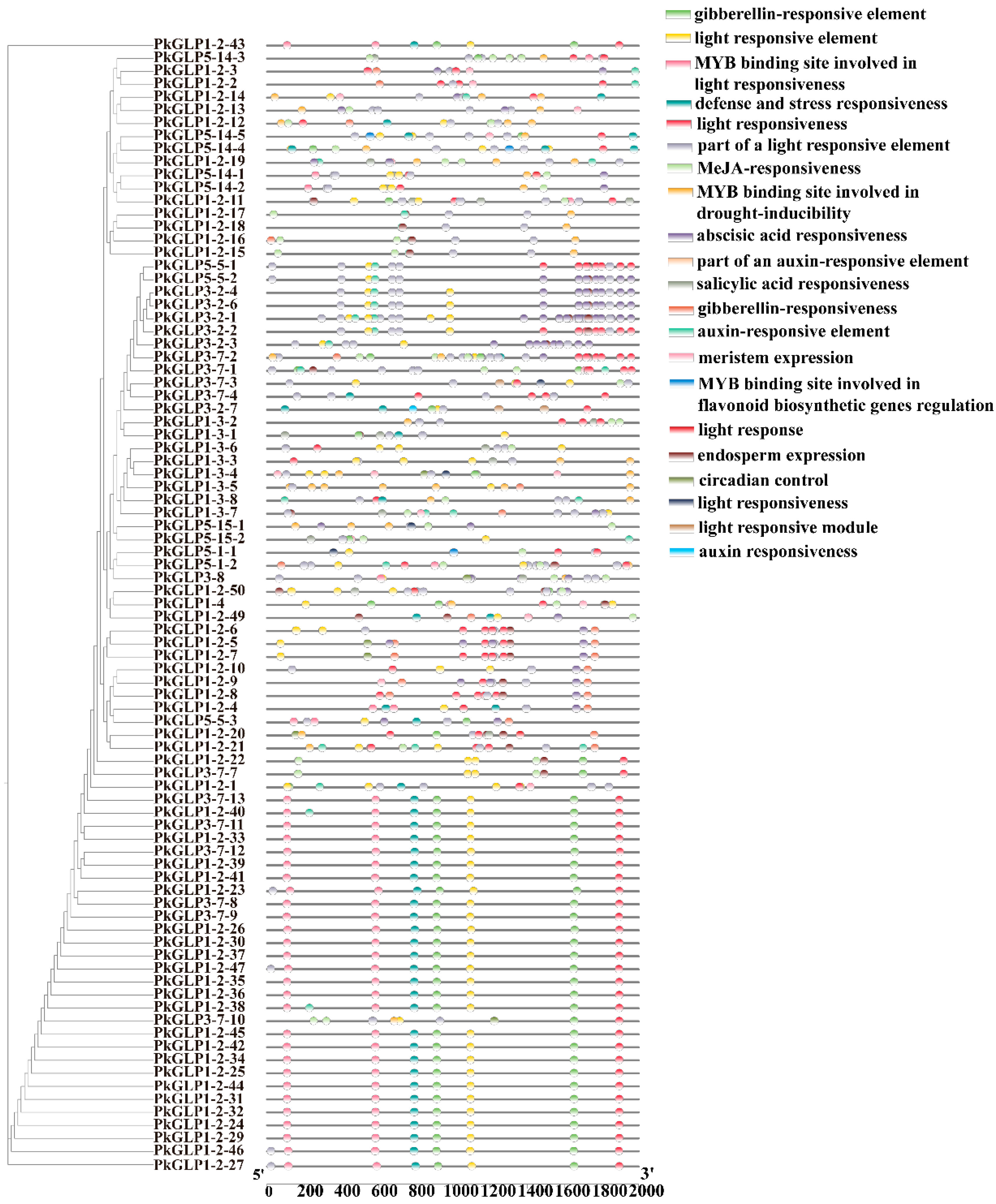 Plants 15 00476 g005