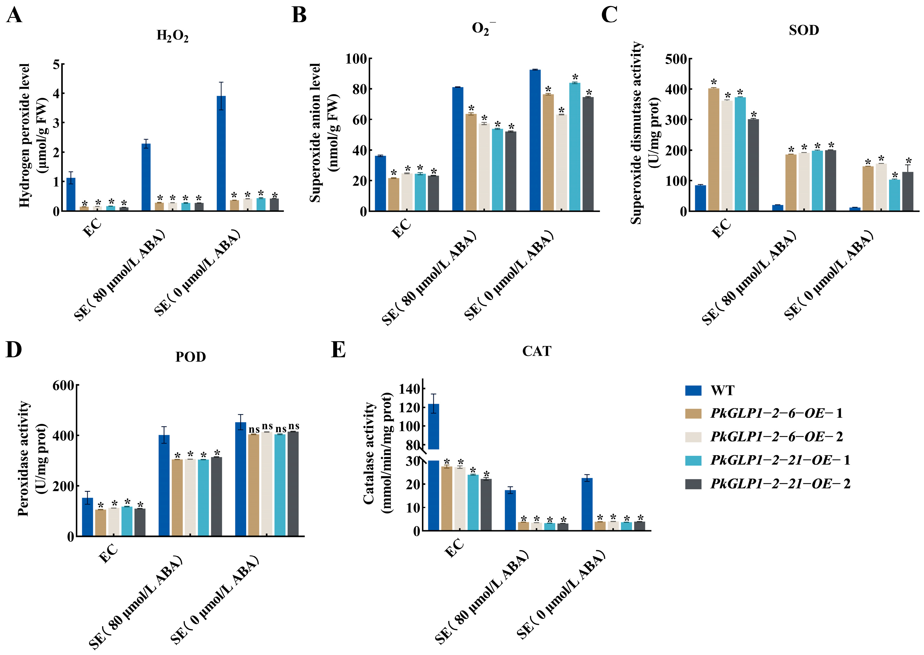 Plants 15 00476 g012