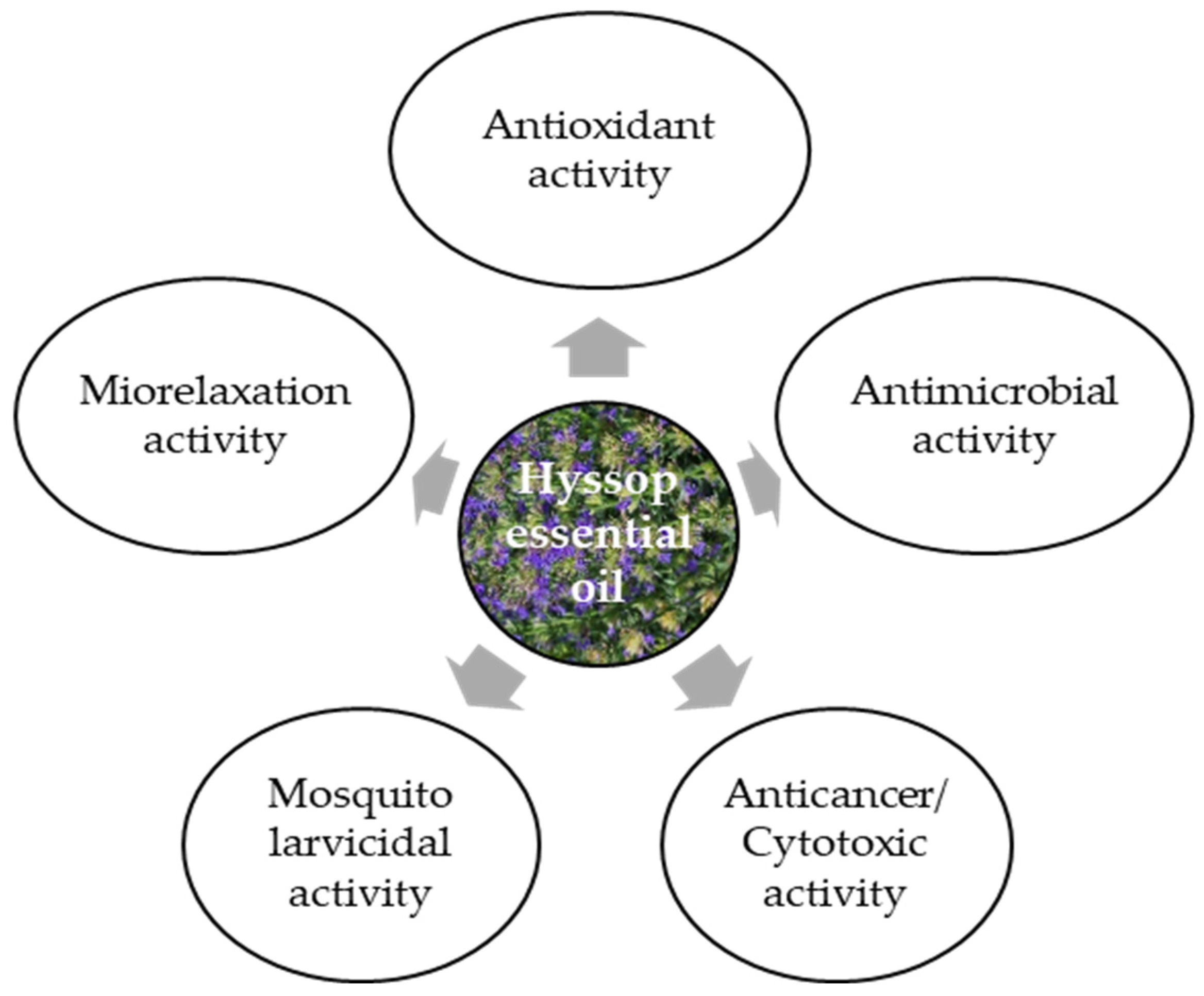 Plants 15 00487 g003