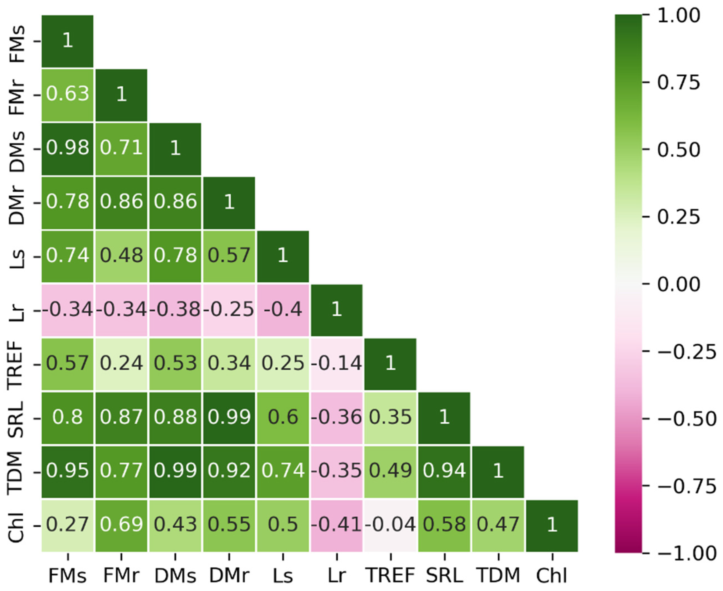Plants 15 00495 g001