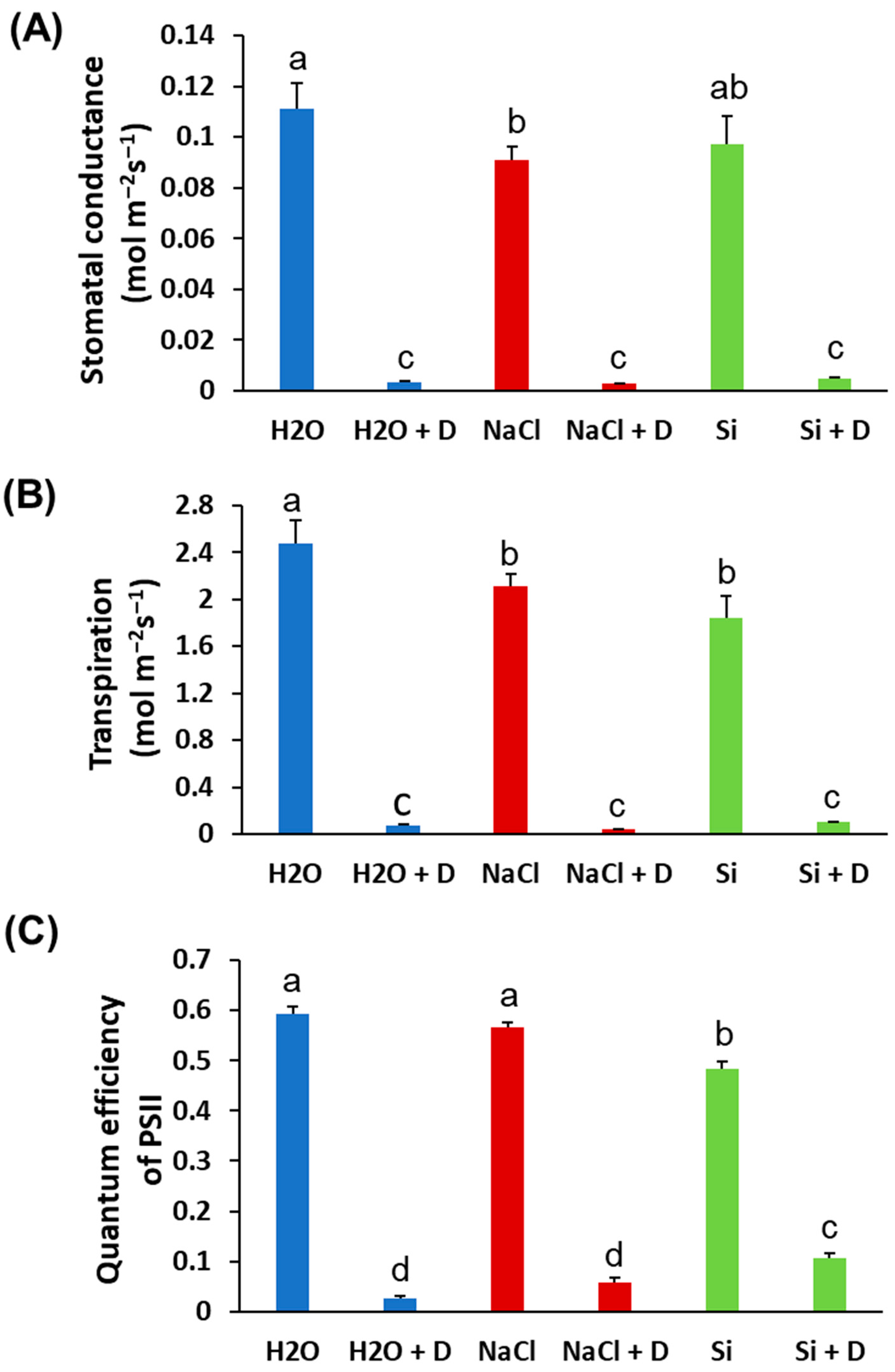 Plants 15 00497 g002