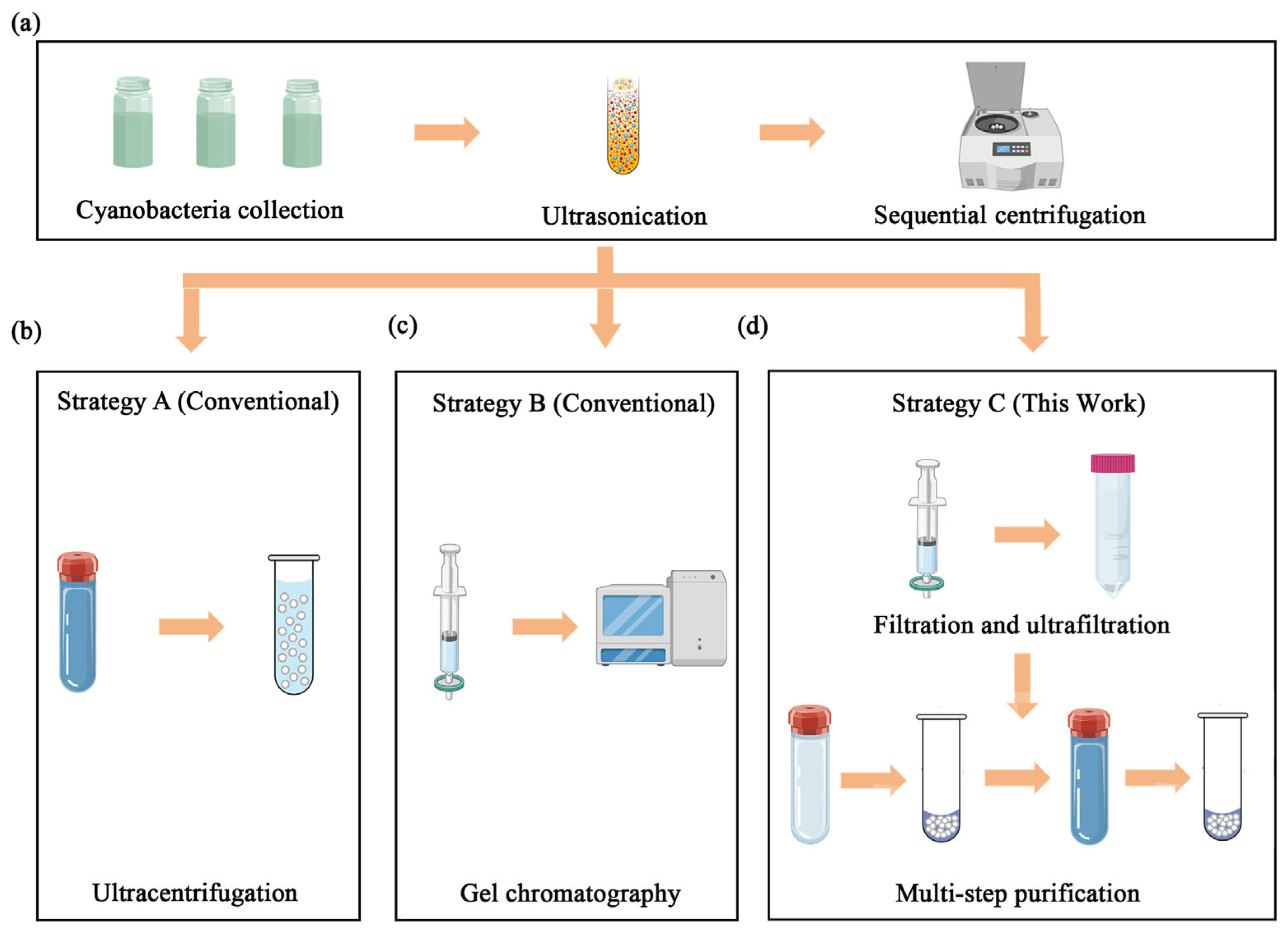 Plants 15 00499 g001