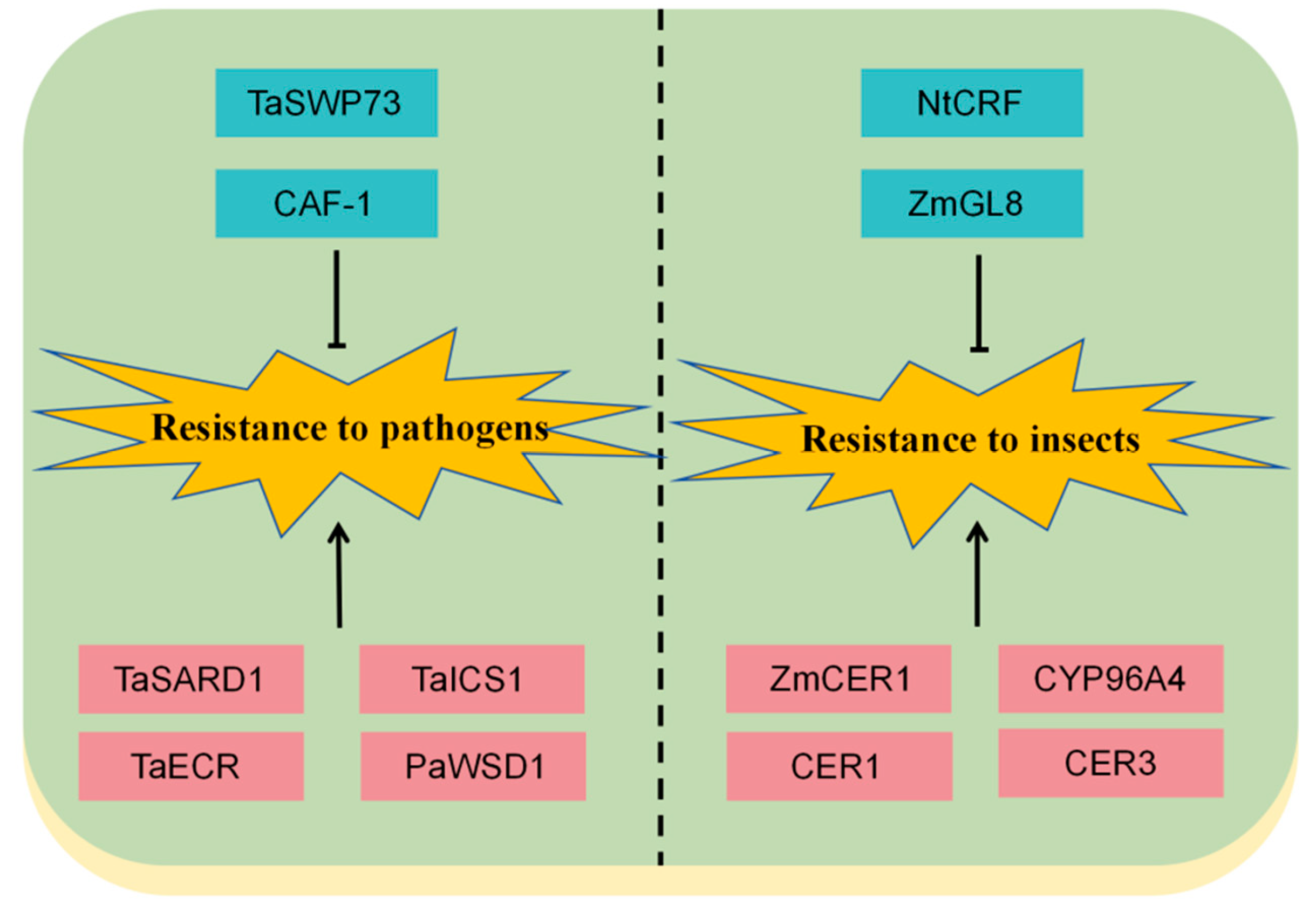Plants 15 00554 g003