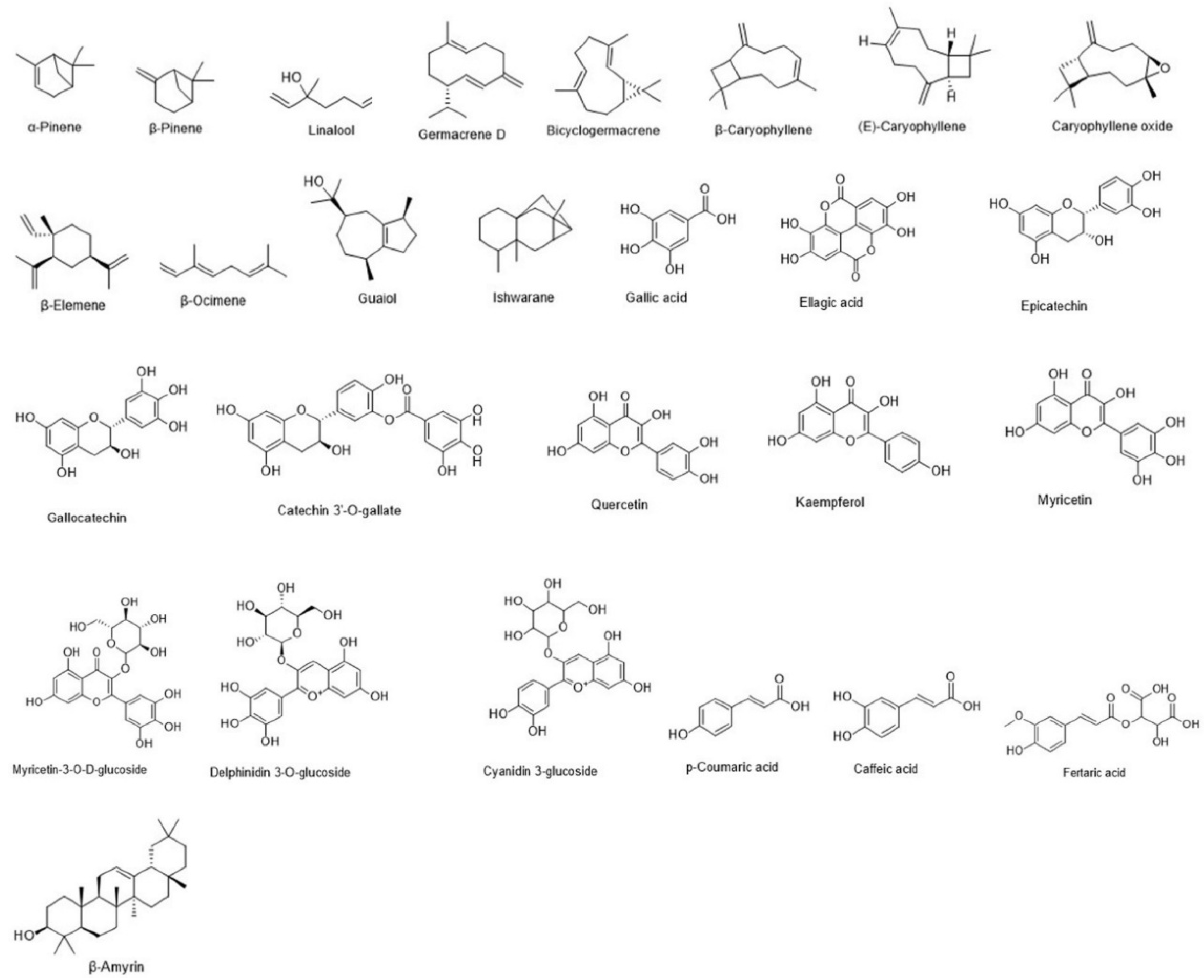 Plants 15 00646 g007