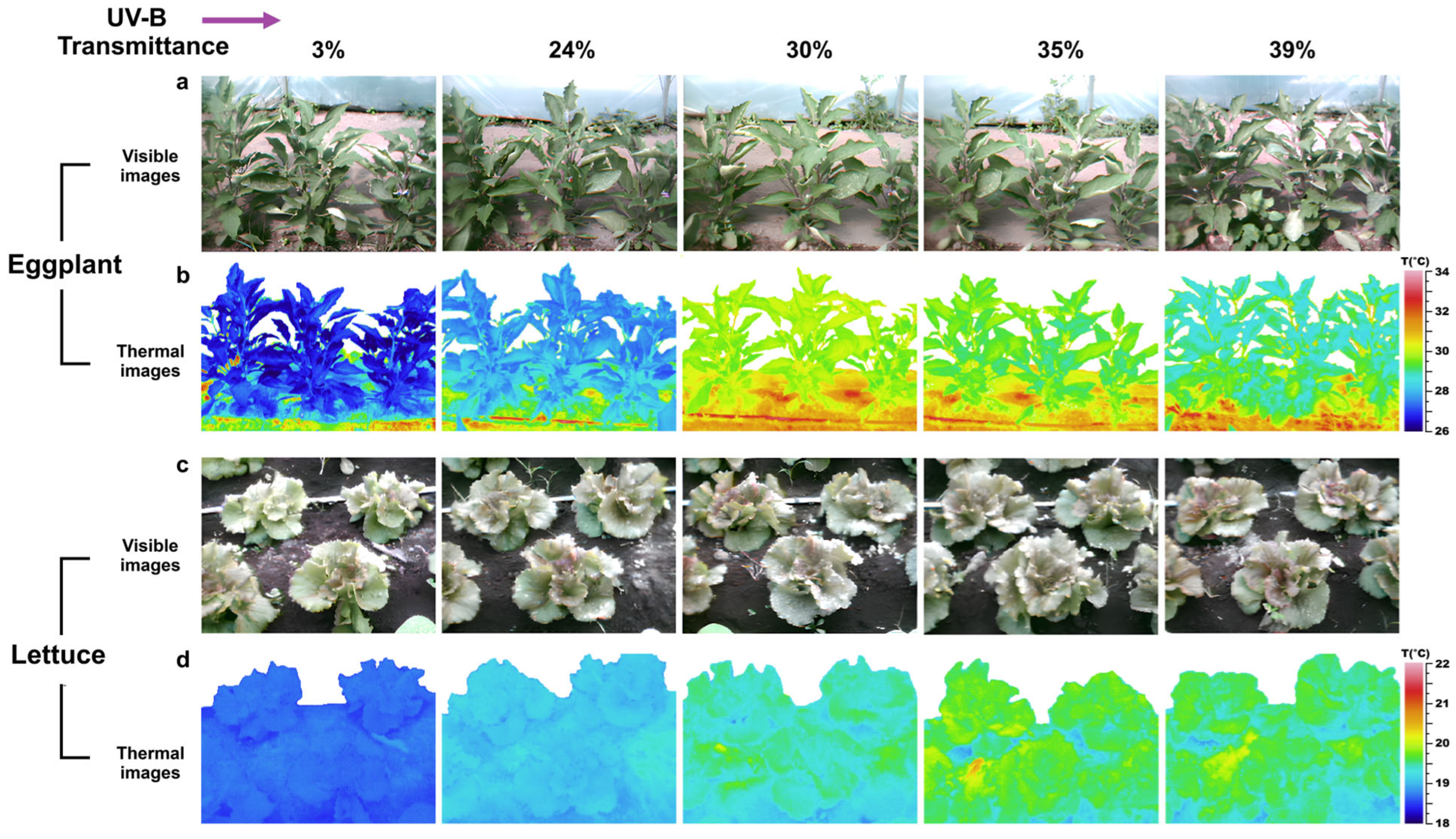 Plants 15 00863 g002 Plants 15 00863 g002