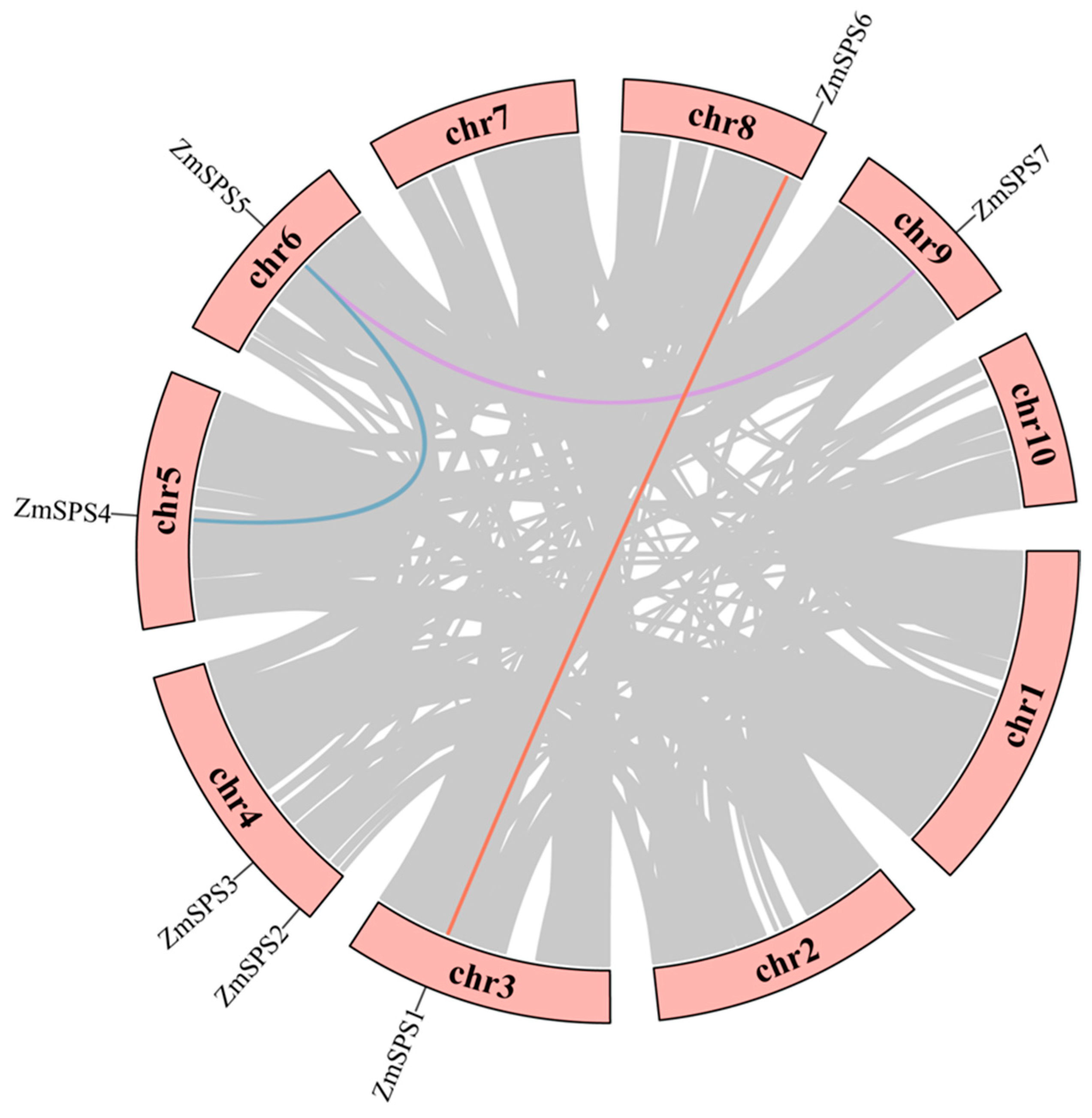 Plants 15 00885 g003