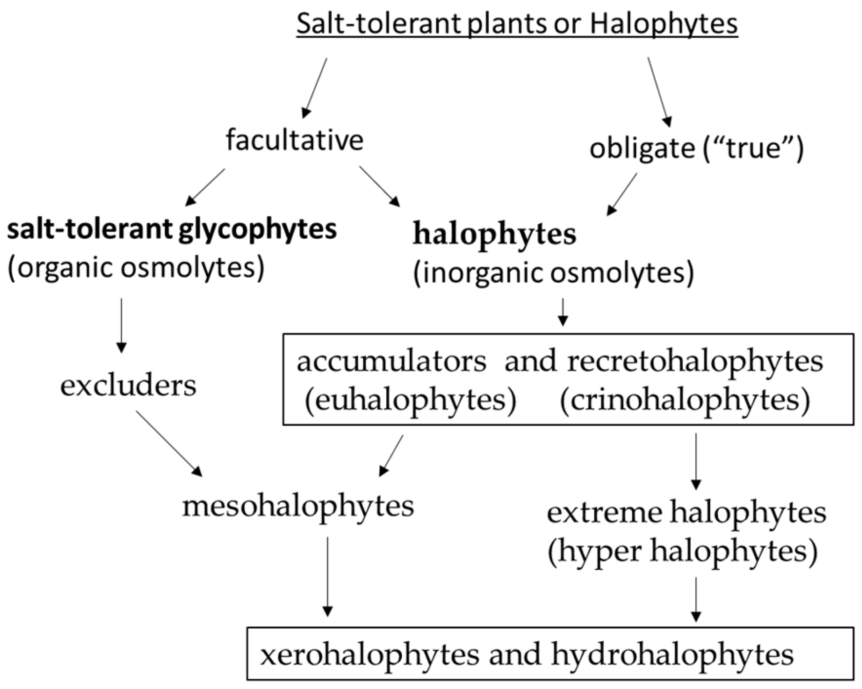Plants 15 01014 g001 Plants 15 01014 g001