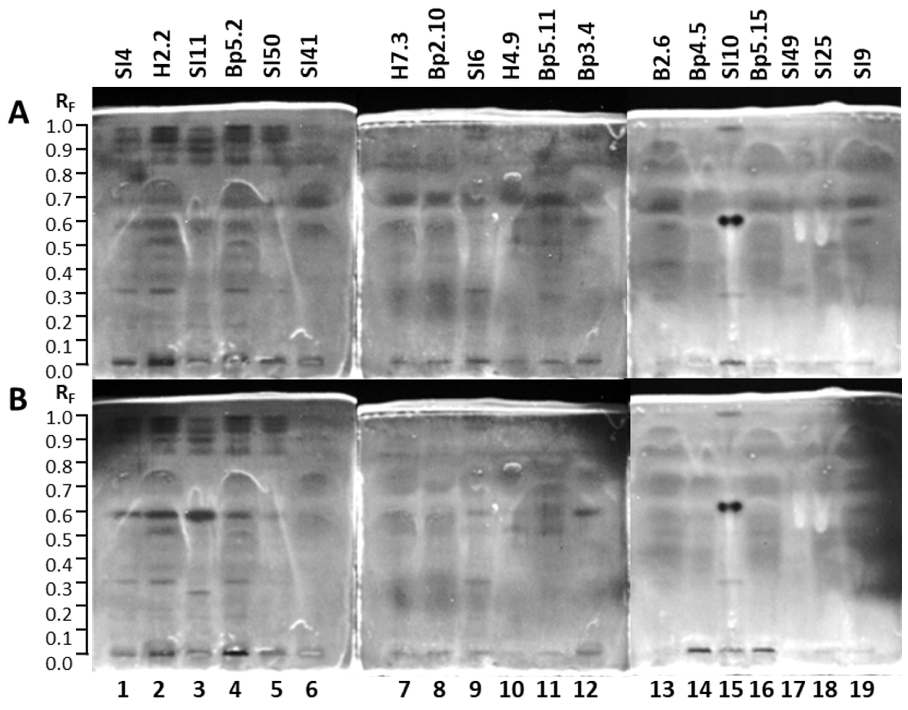 Plants 15 01026 g008 Plants 15 01026 g008