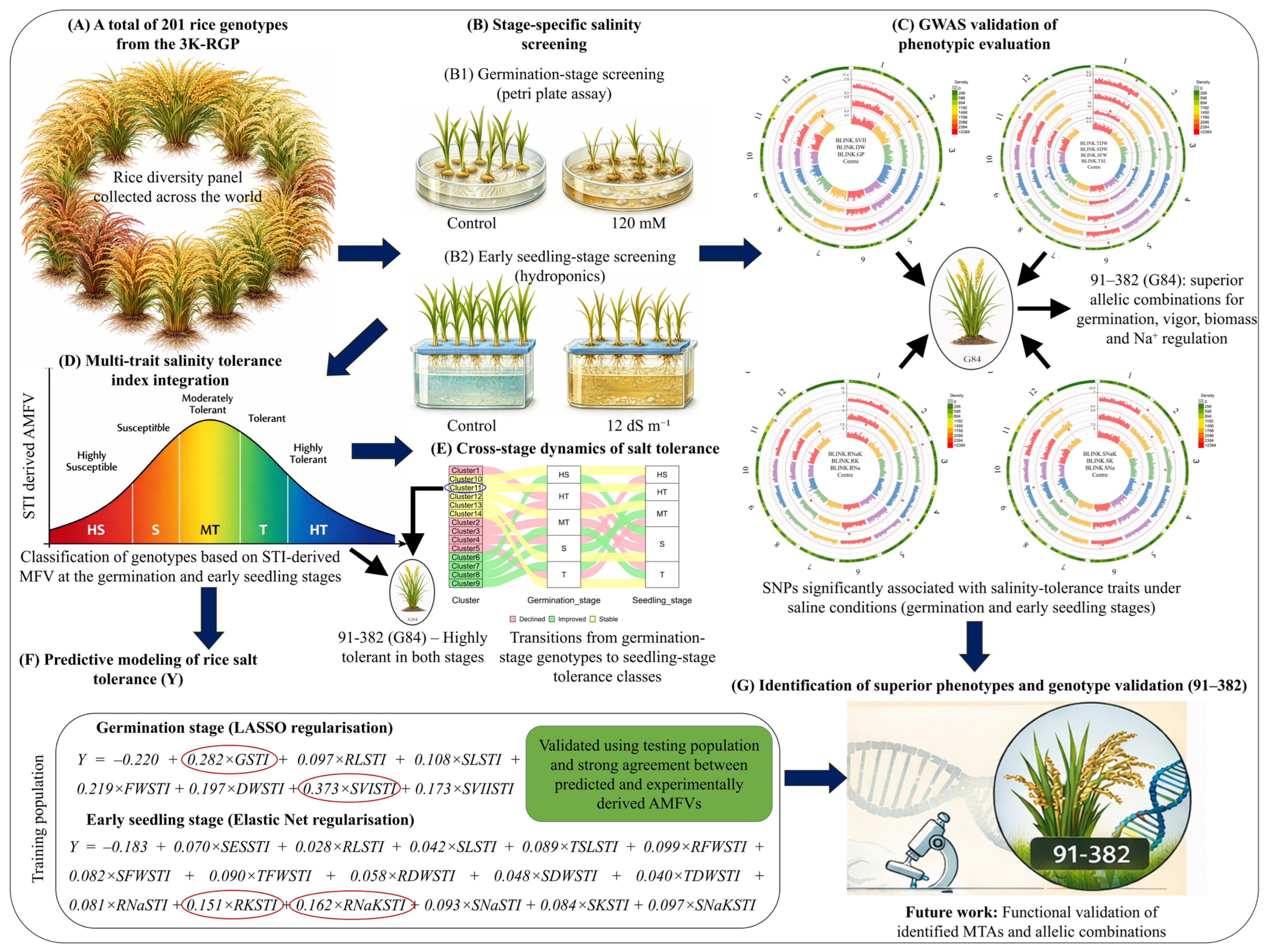 Plants 15 01046 g010