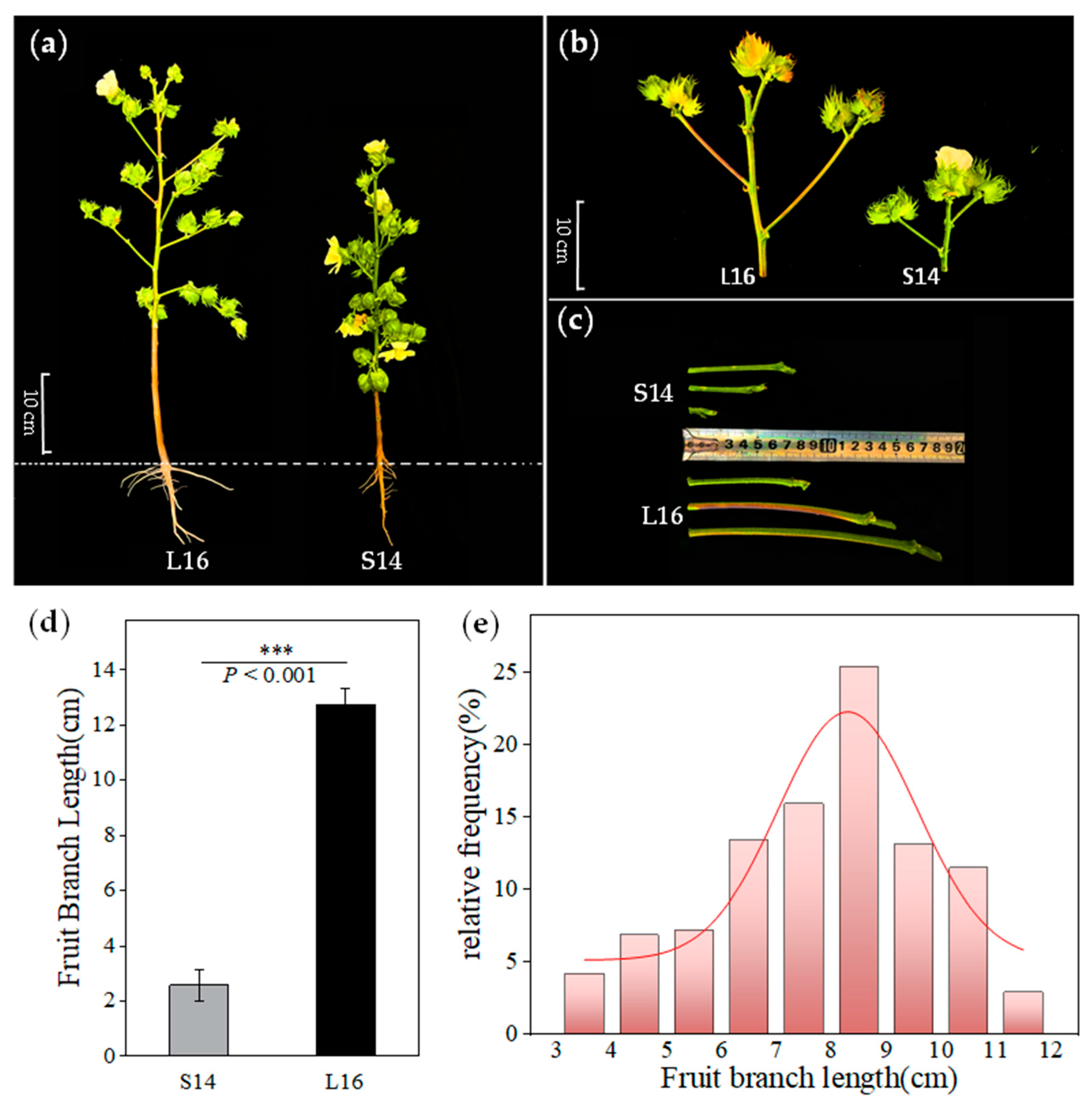 Plants 15 01192 g001