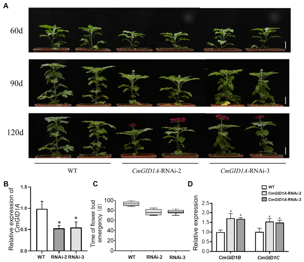 Plants 15 01660 g002 Plants 15 01660 g002