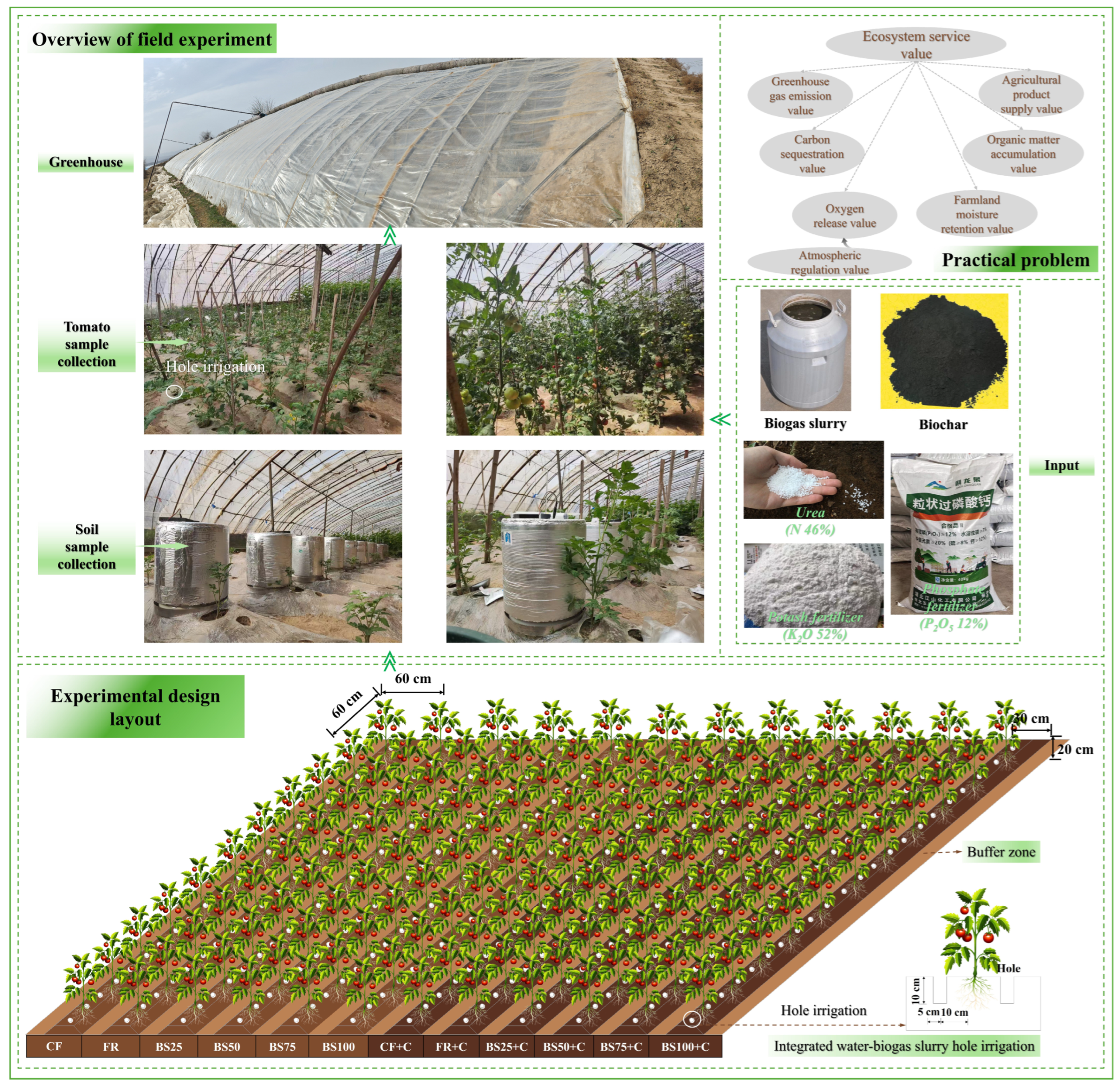 Plants 15 02087 g001