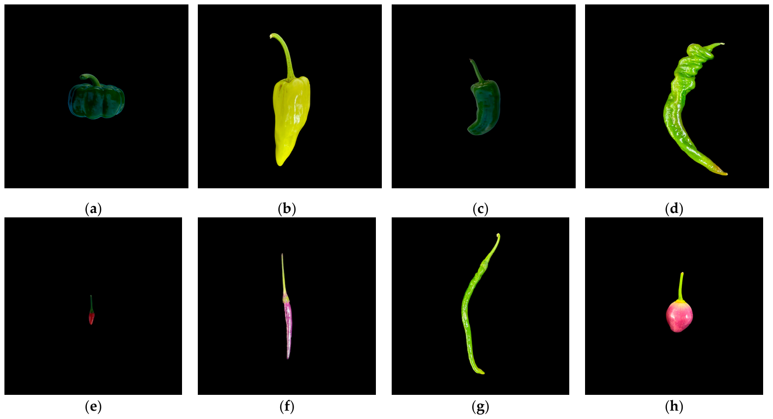 Plants 15 02103 g001 Plants 15 02103 g001