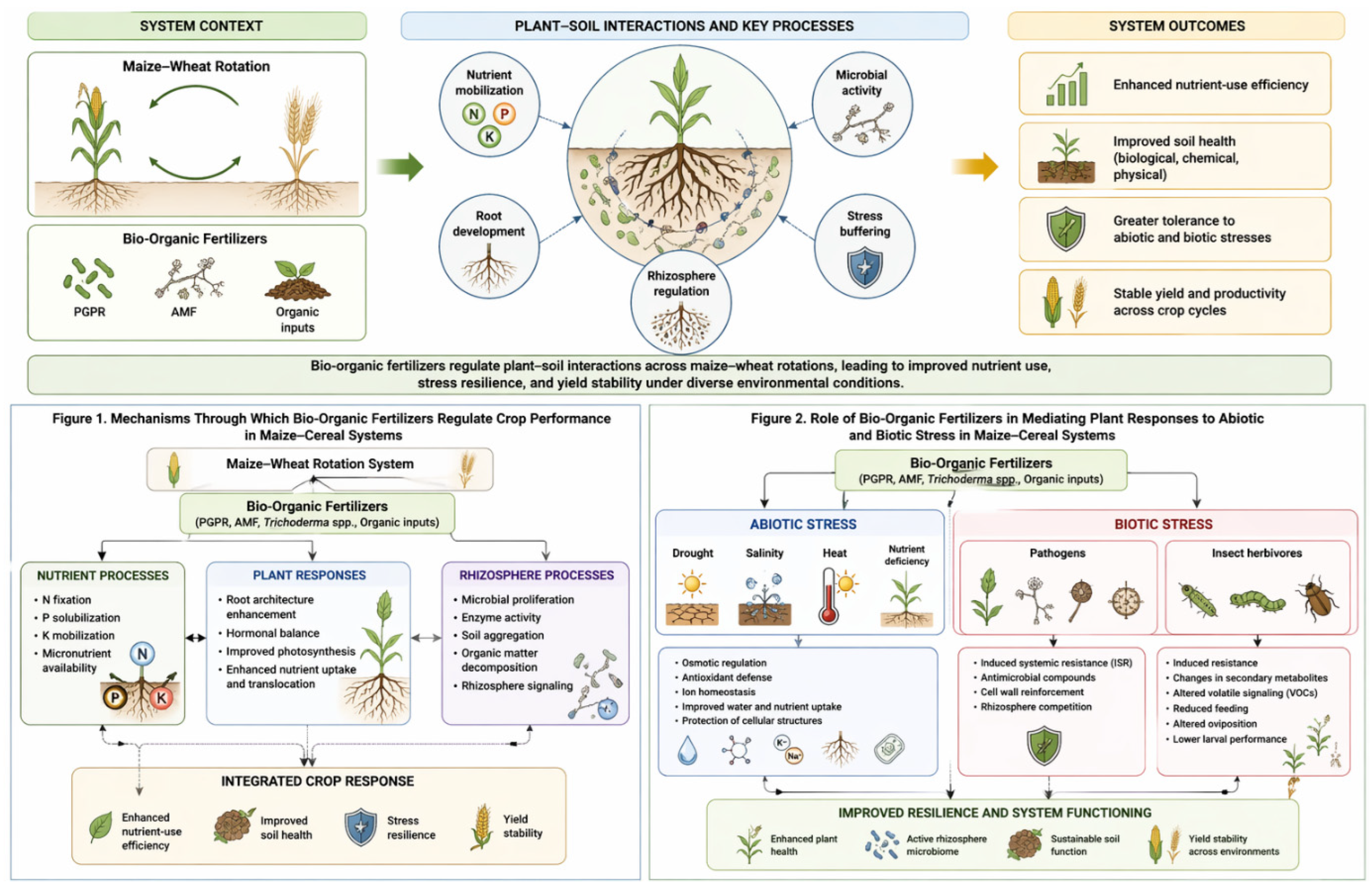 Plants 15 02120 g002 Plants 15 02120 g002