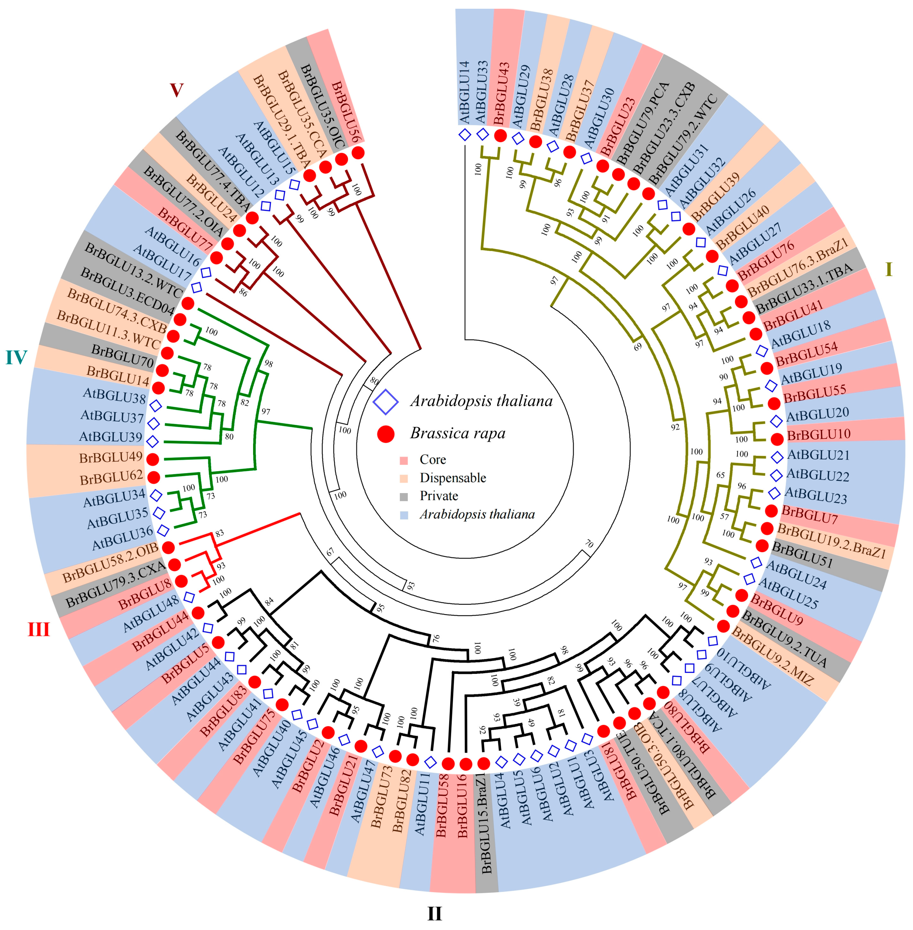Plants 15 02579 g002 Plants 15 02579 g002