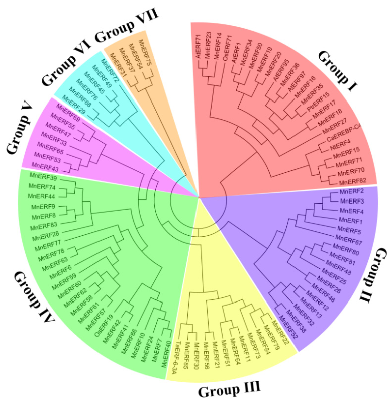 Plants 15 02868 g001 Plants 15 02868 g001