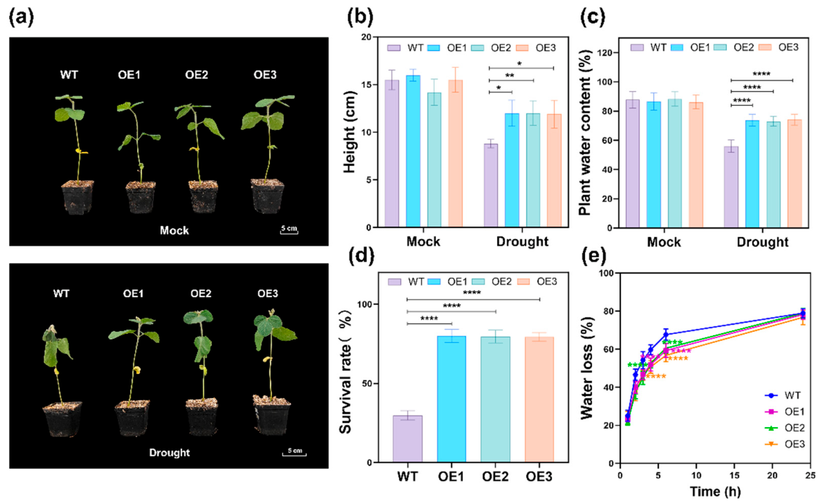 Plants 15 02939 g002 Plants 15 02939 g002