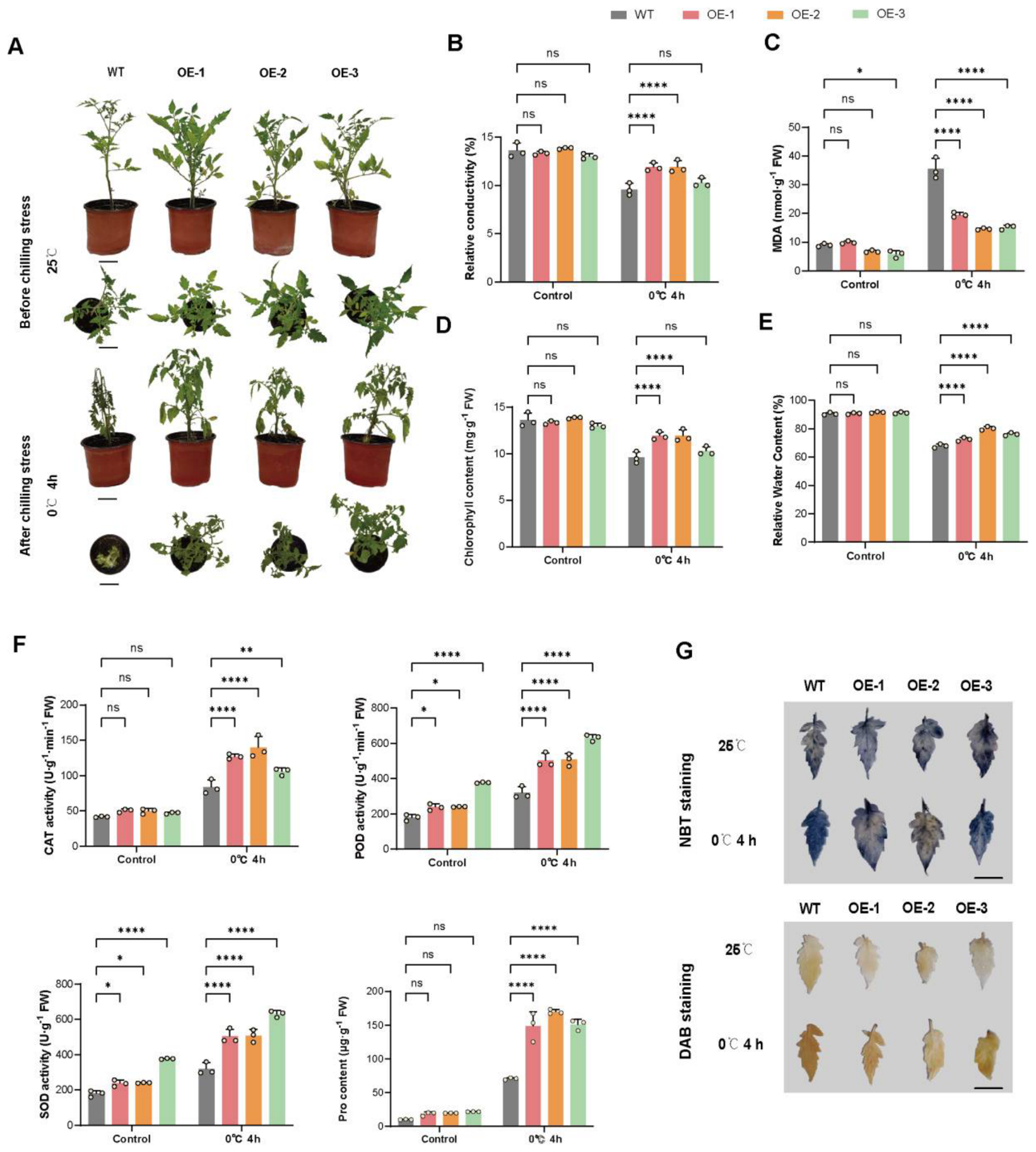 Plants 15 03204 g006