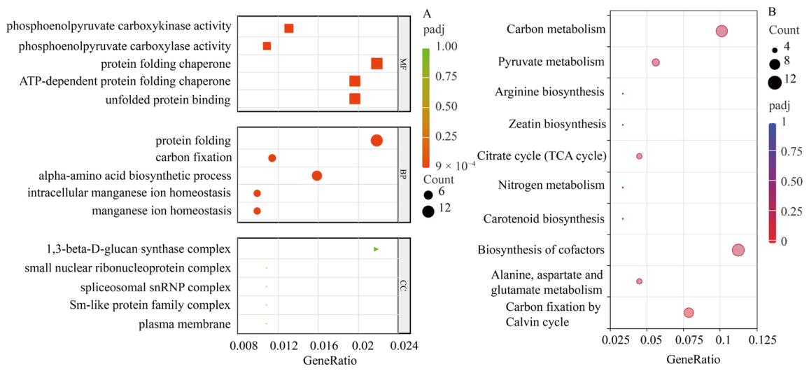 Pathway Dot Integrated Physiological and Transcriptomic Profiling of Tall Fescue in ...