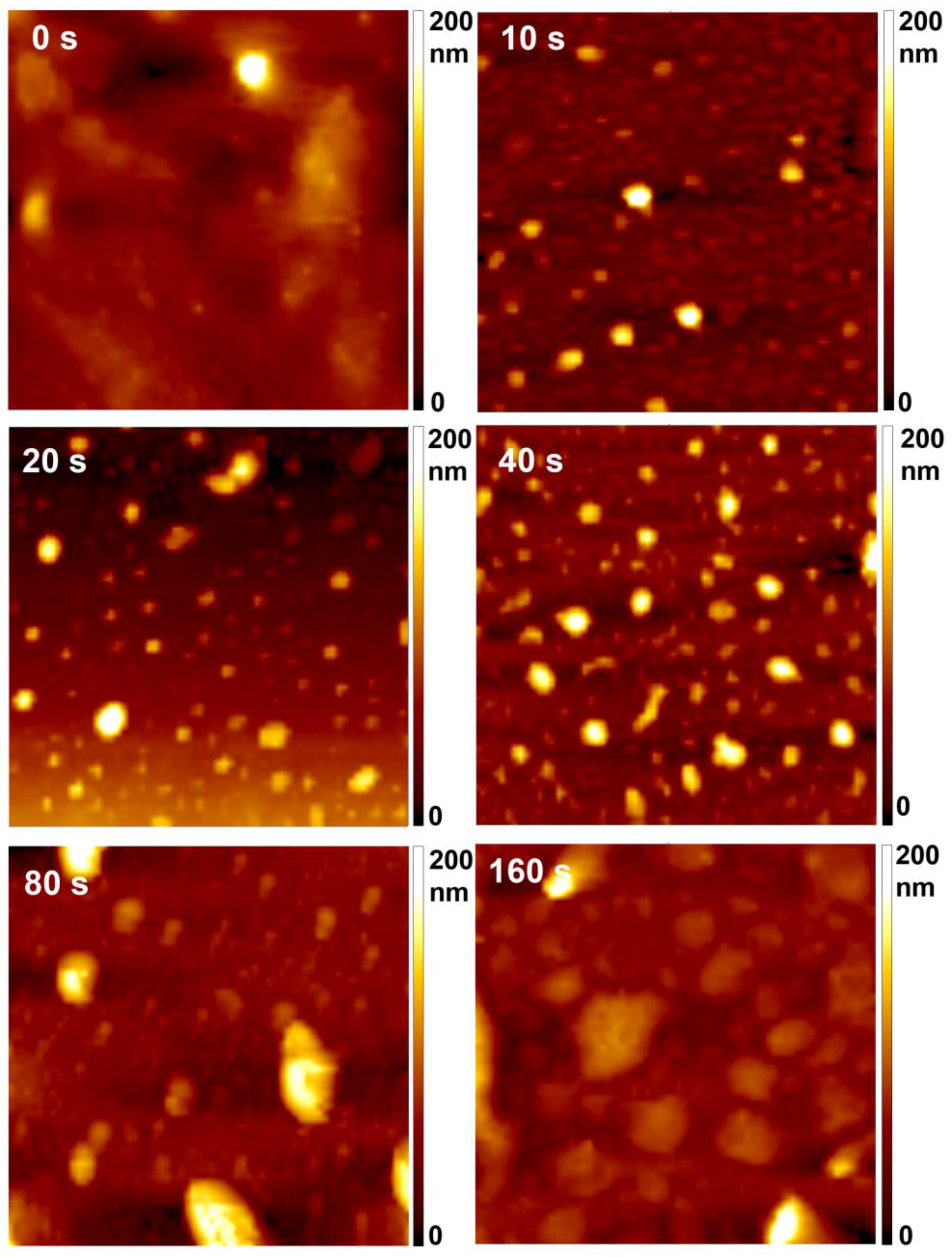 Plasma 01 00002 g004