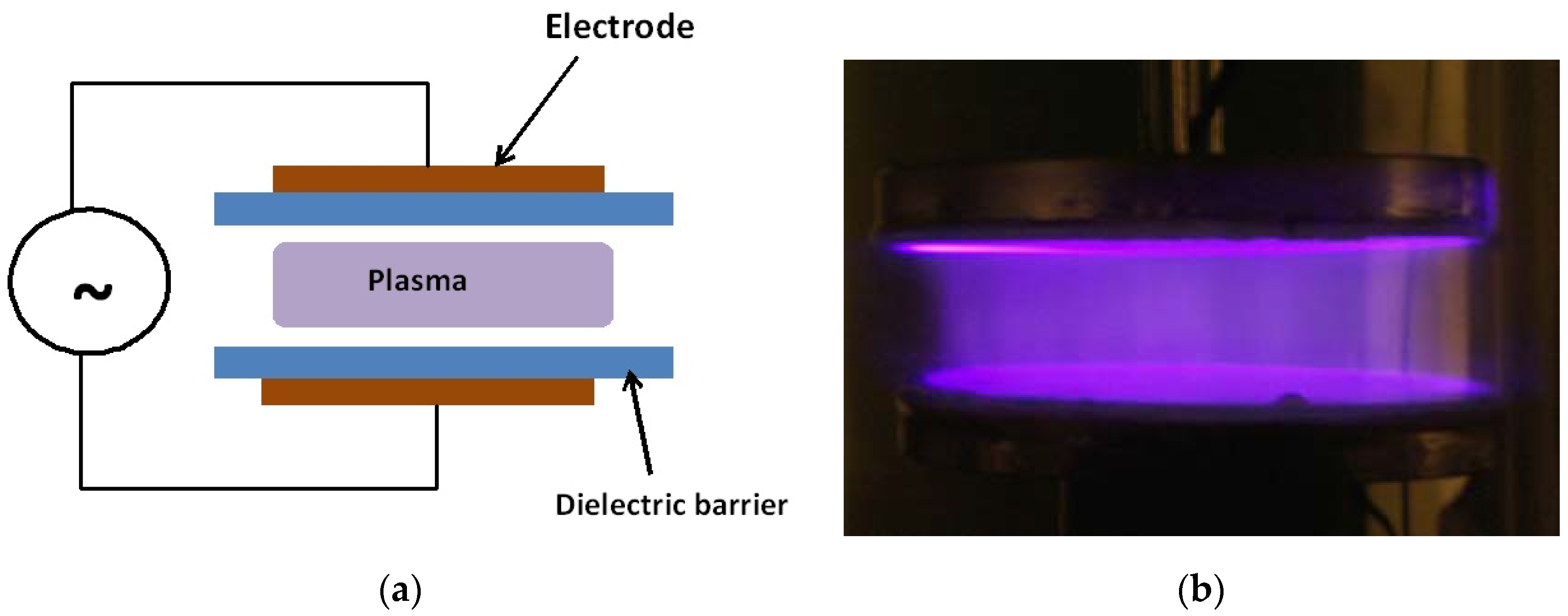 Plasma 01 00005 g002