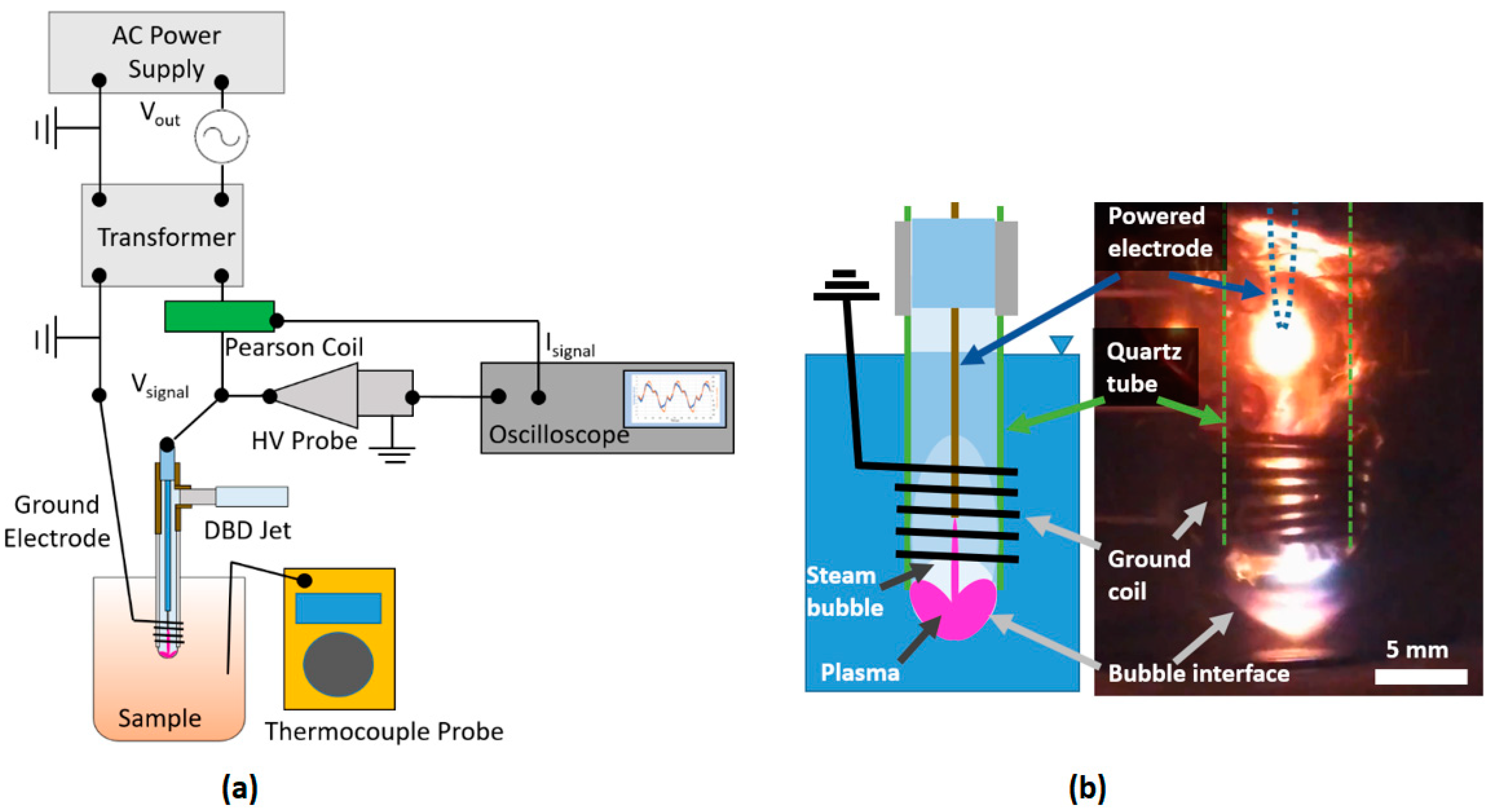 Plasma 02 00021 g001