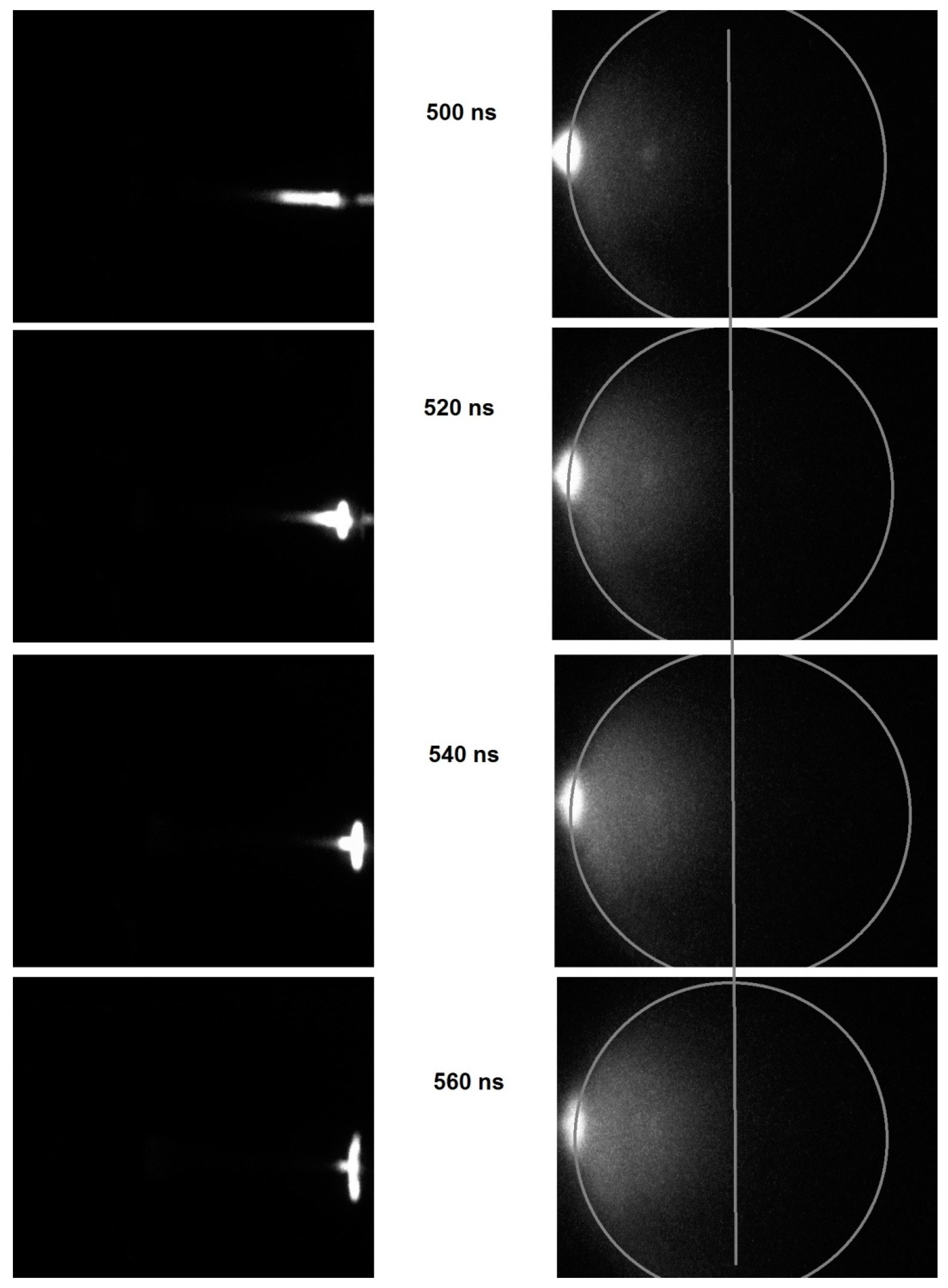 Plasma 02 00030 g008