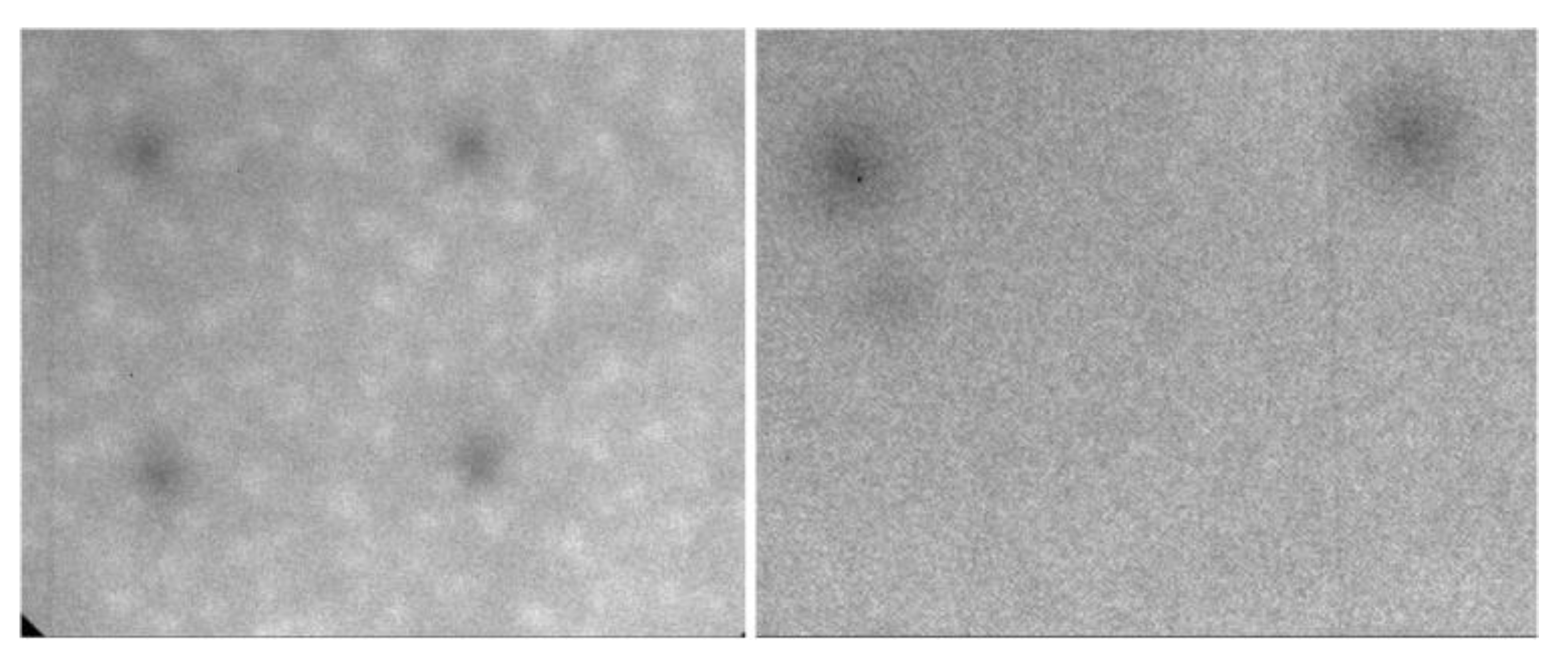 Plasma 04 00006 g006 Plasma 04 00006 g006