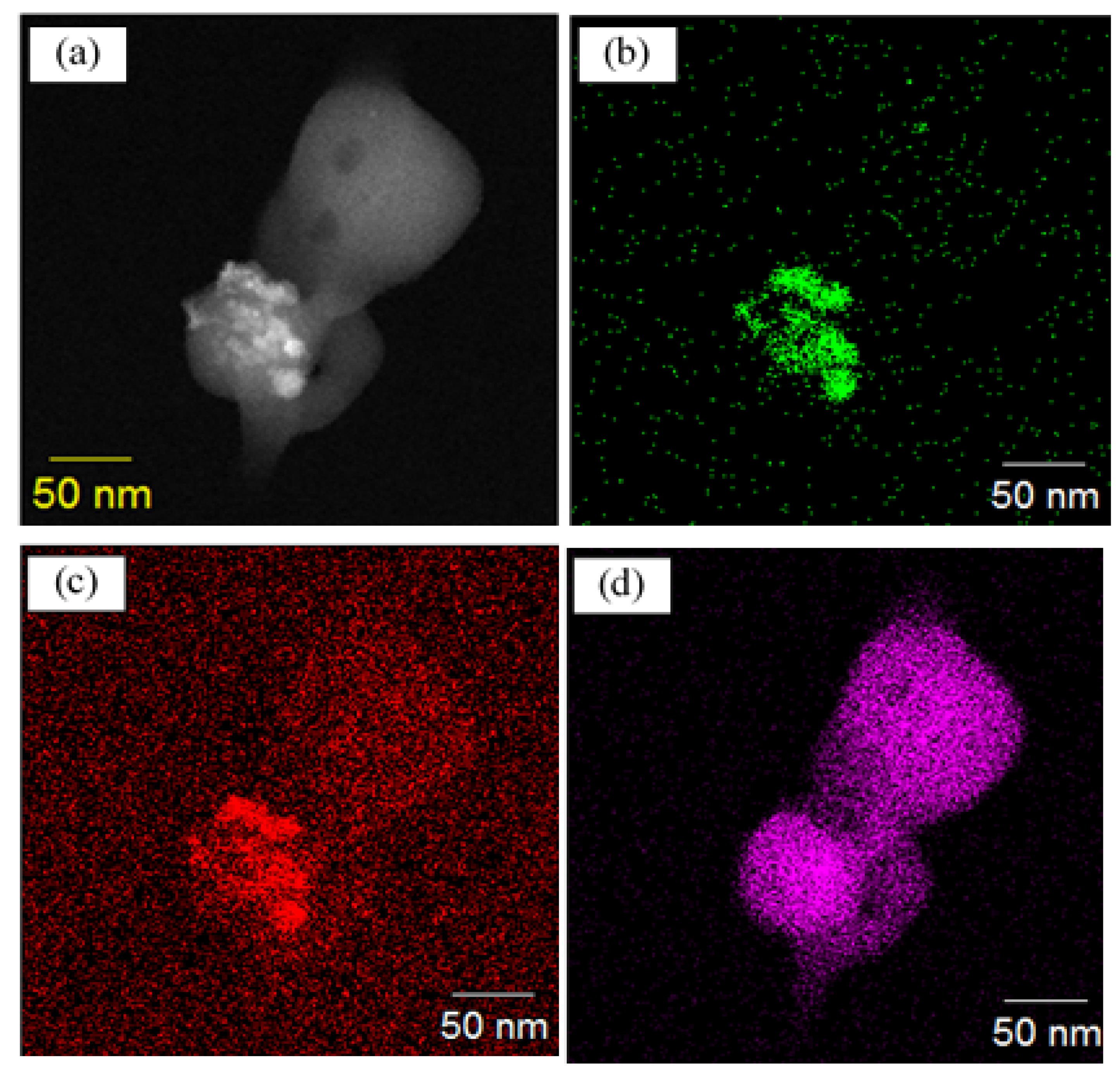 Plasma 04 00021 g012