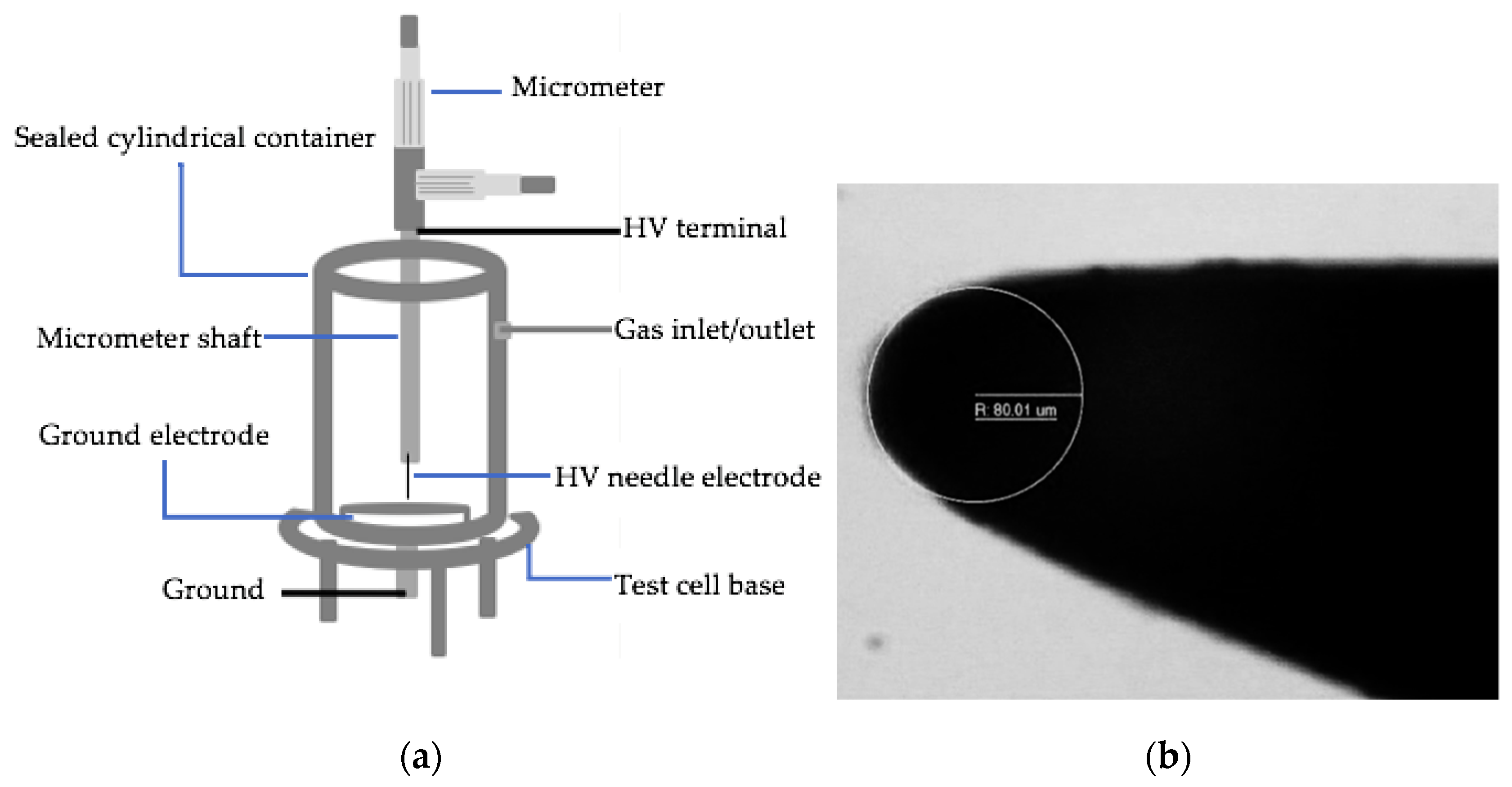 Plasma 05 00002 g001