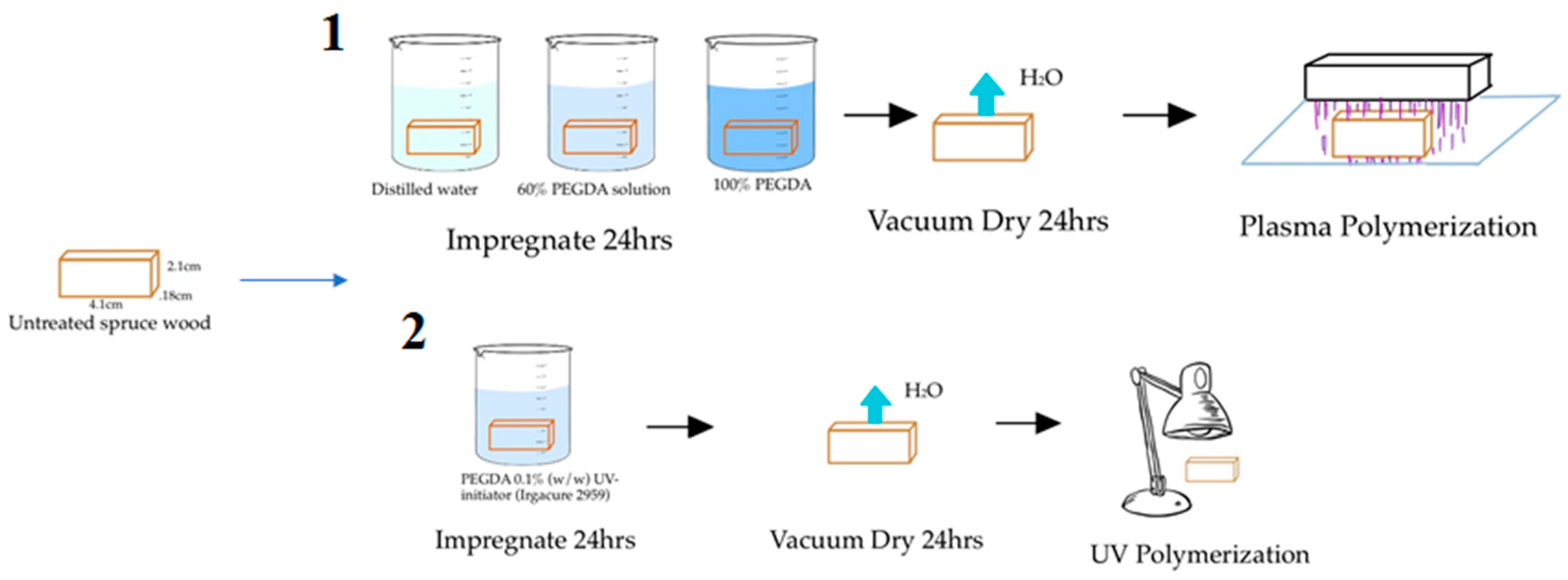Plasma 05 00011 g001