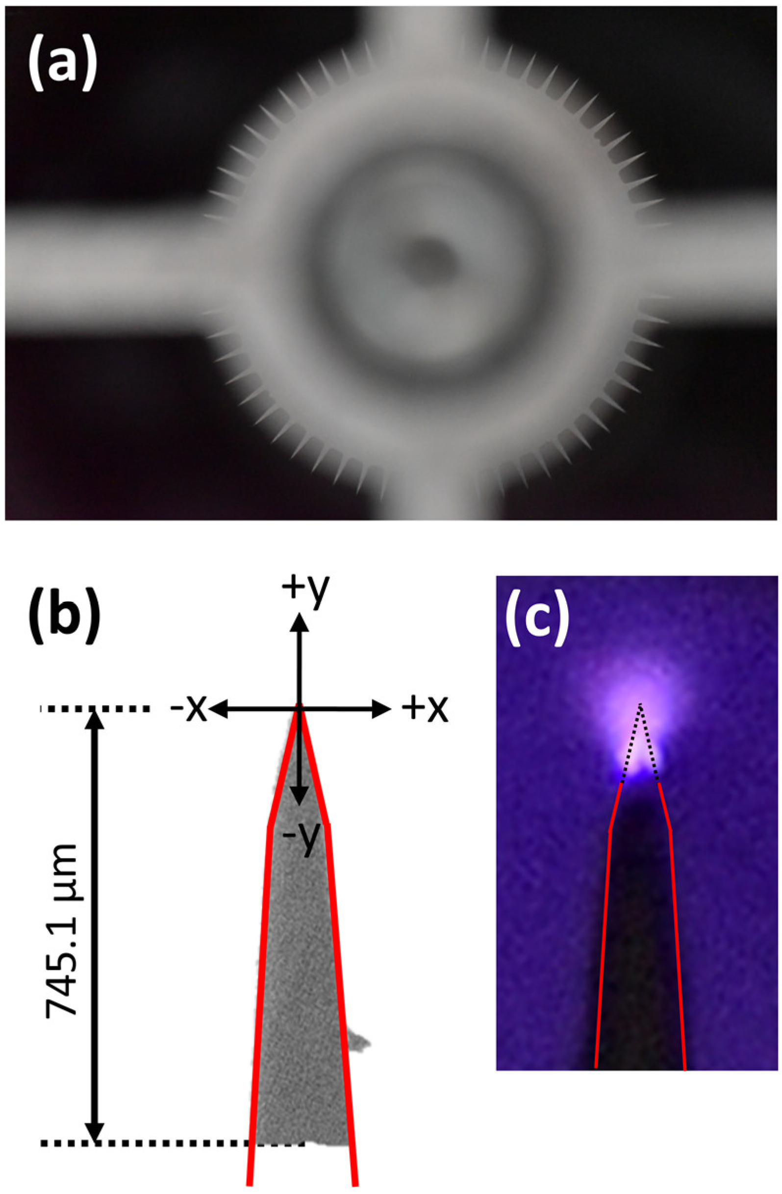 Plasma 05 00016 g002 Plasma 05 00016 g002
