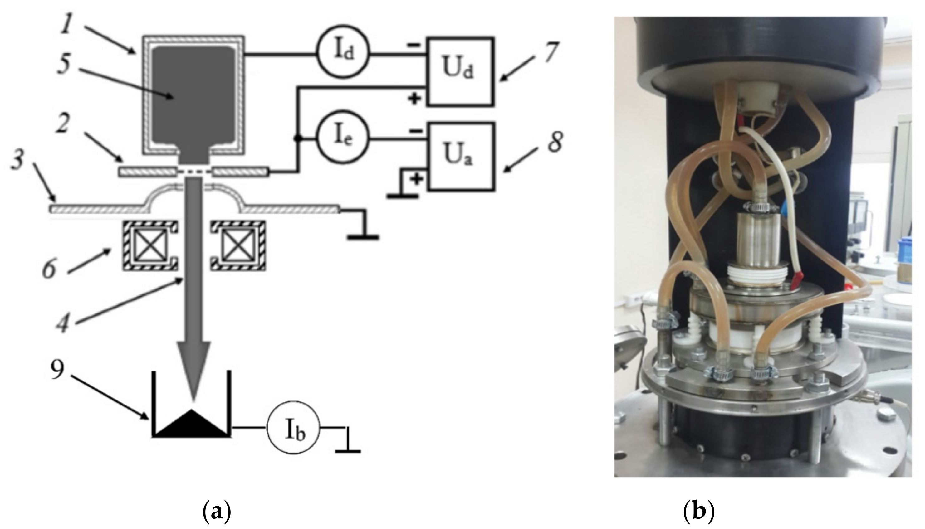 Plasma 05 00020 g001