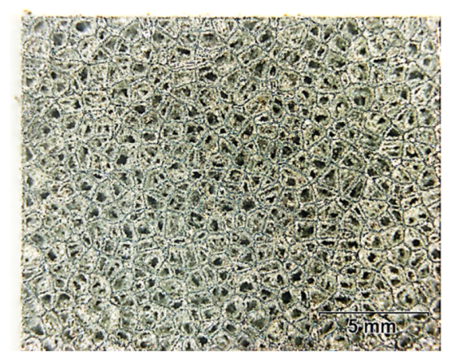 Plasma 05 00039 g003