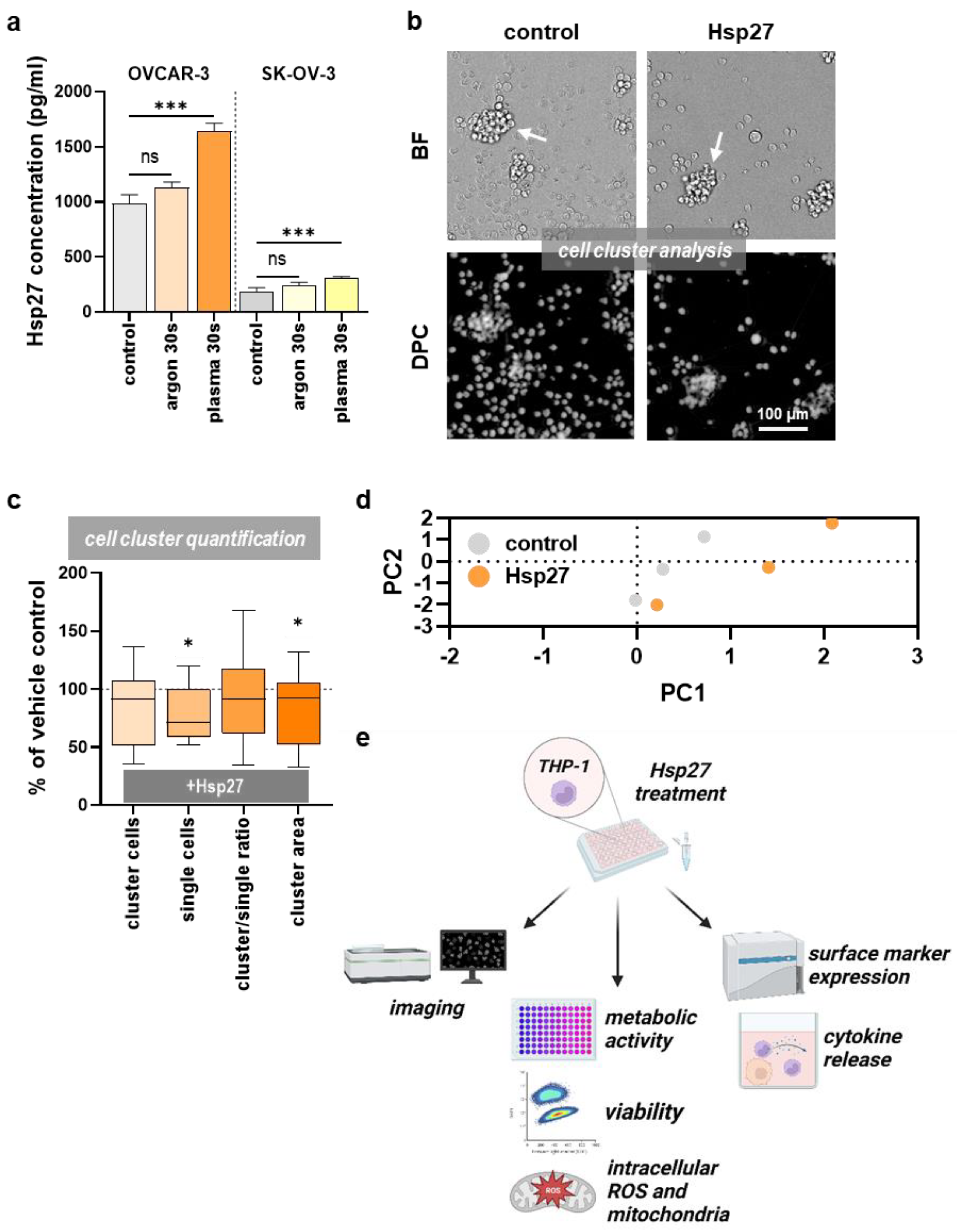 Plasma 05 00040 g001